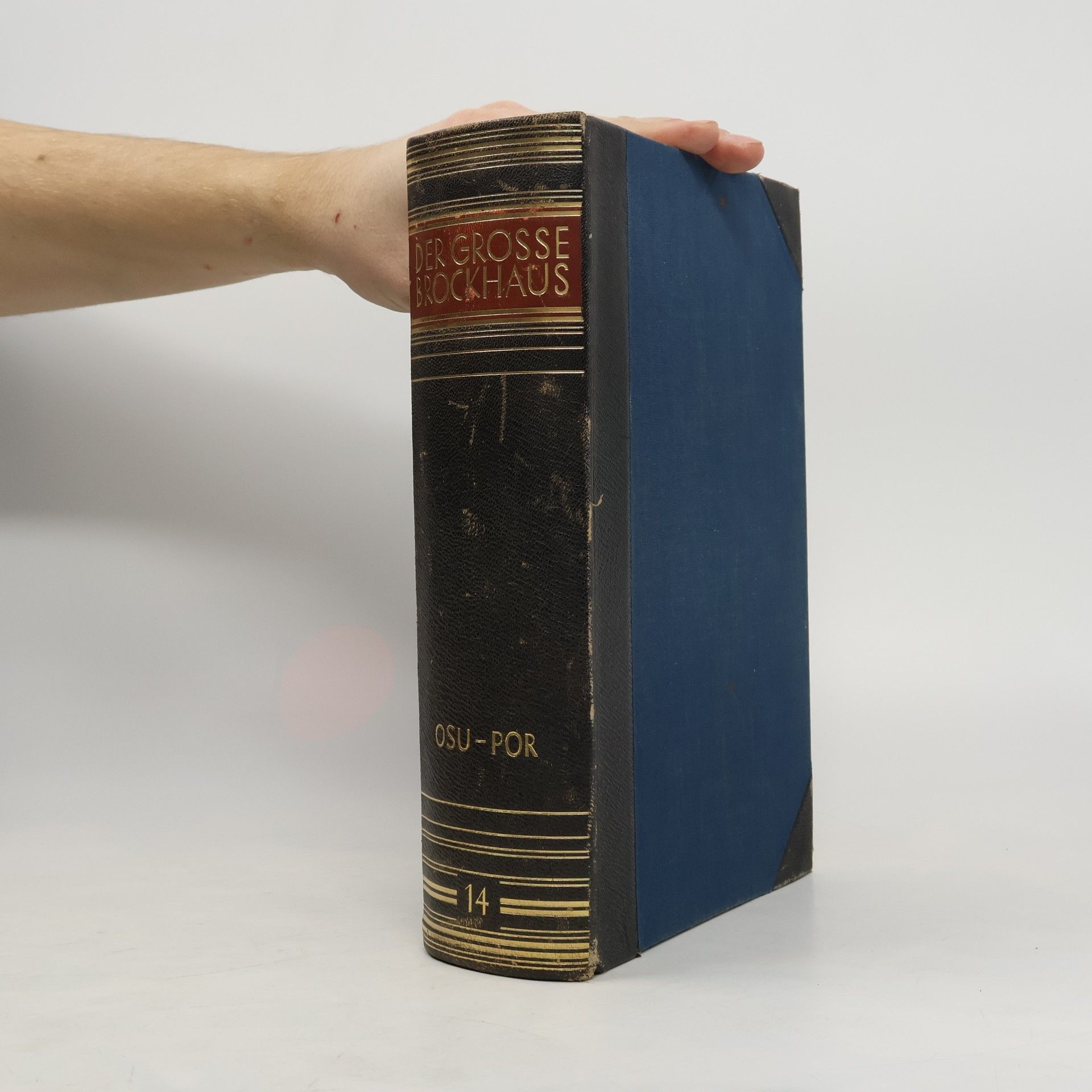 Autorenkollektiv Der grosse Brockhaus 14.