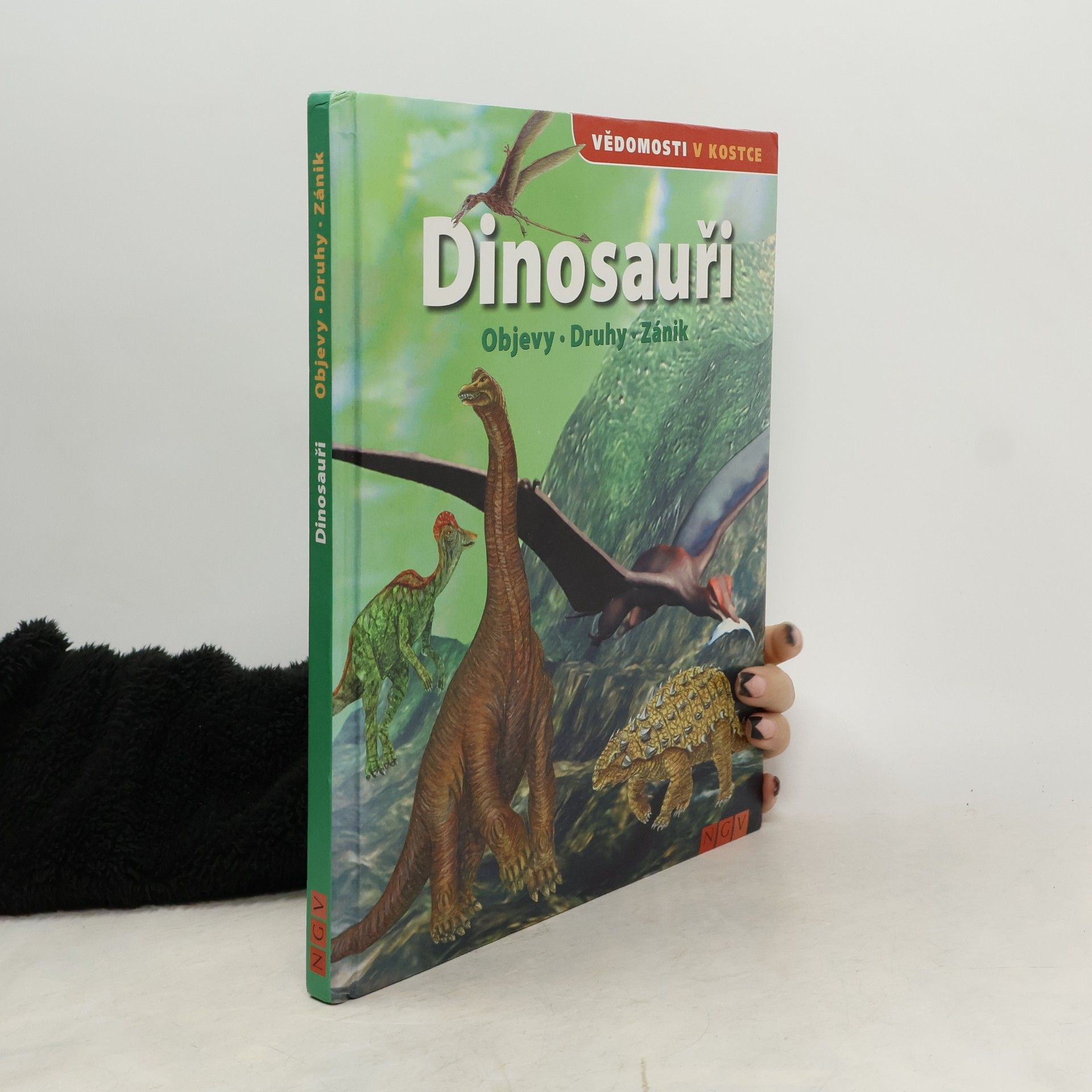 Kolektív autorov Dinosauři