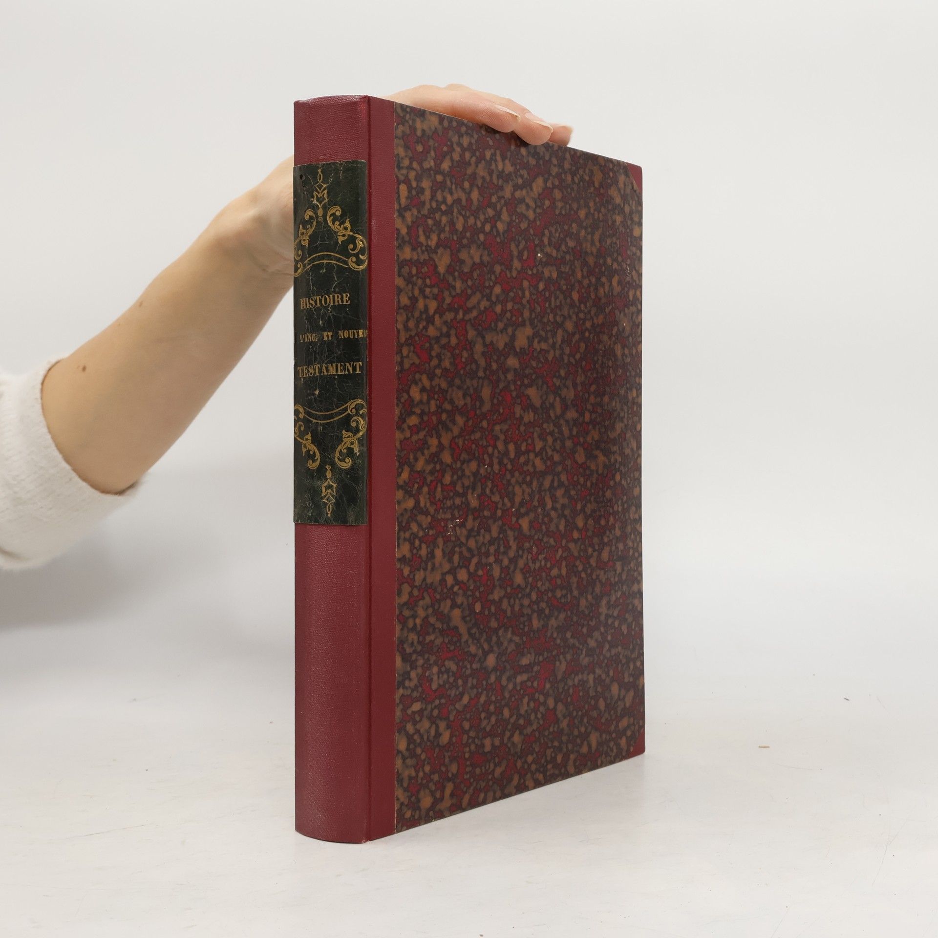 Collectif d'auteurs Histoire de l'ancien et du nouveau testament