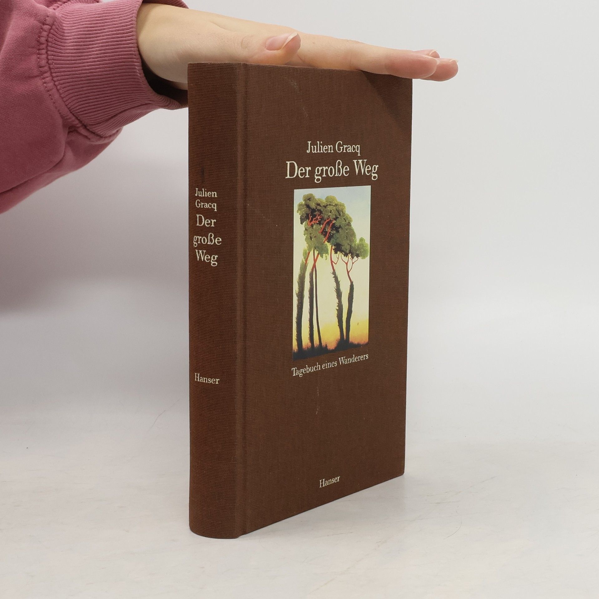 Der große Weg. Tagebuch eines Wanderers