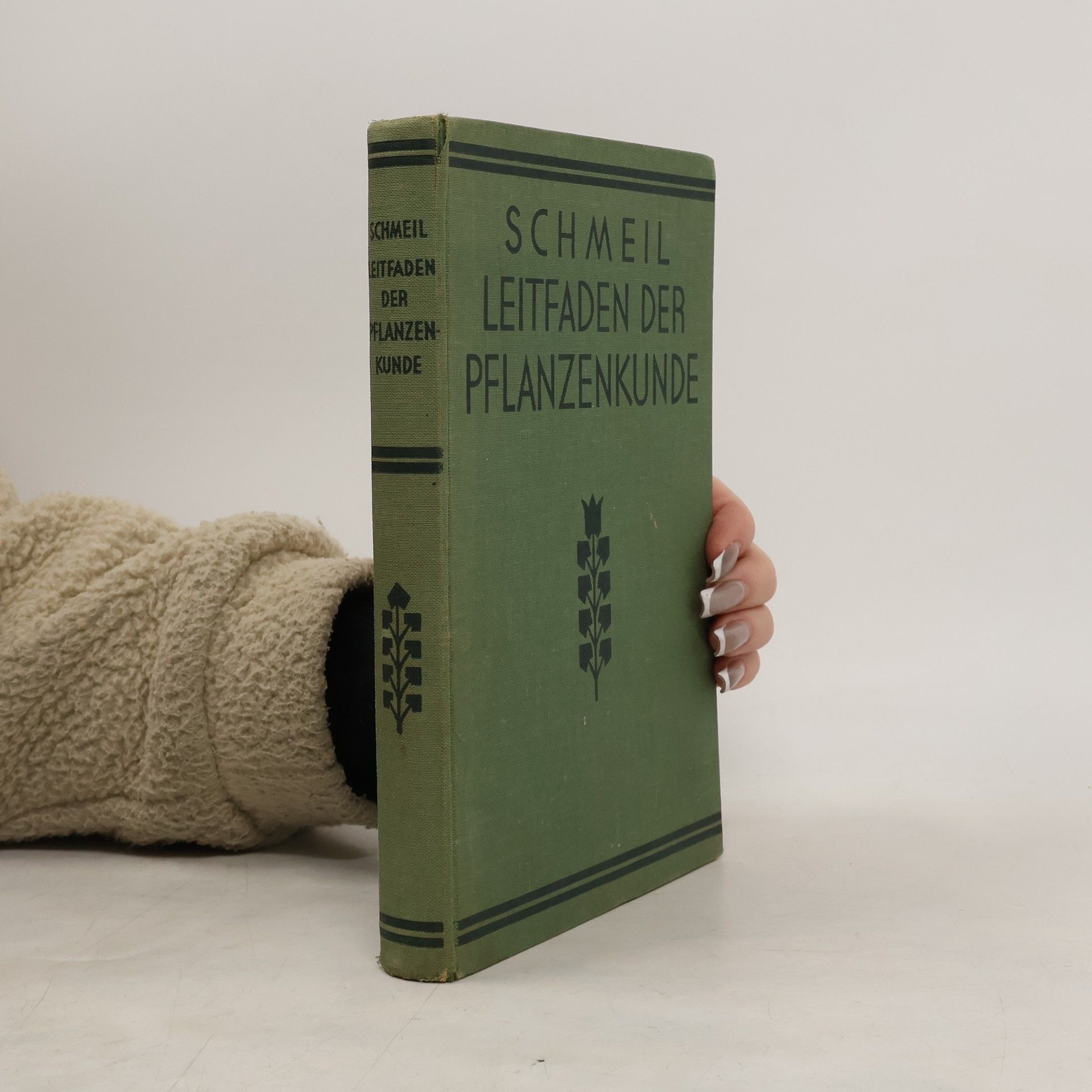 Leitfaden der Pflanzenkunde