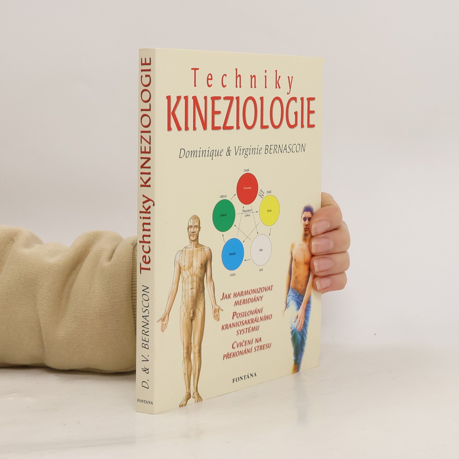 Techniky kineziologie
