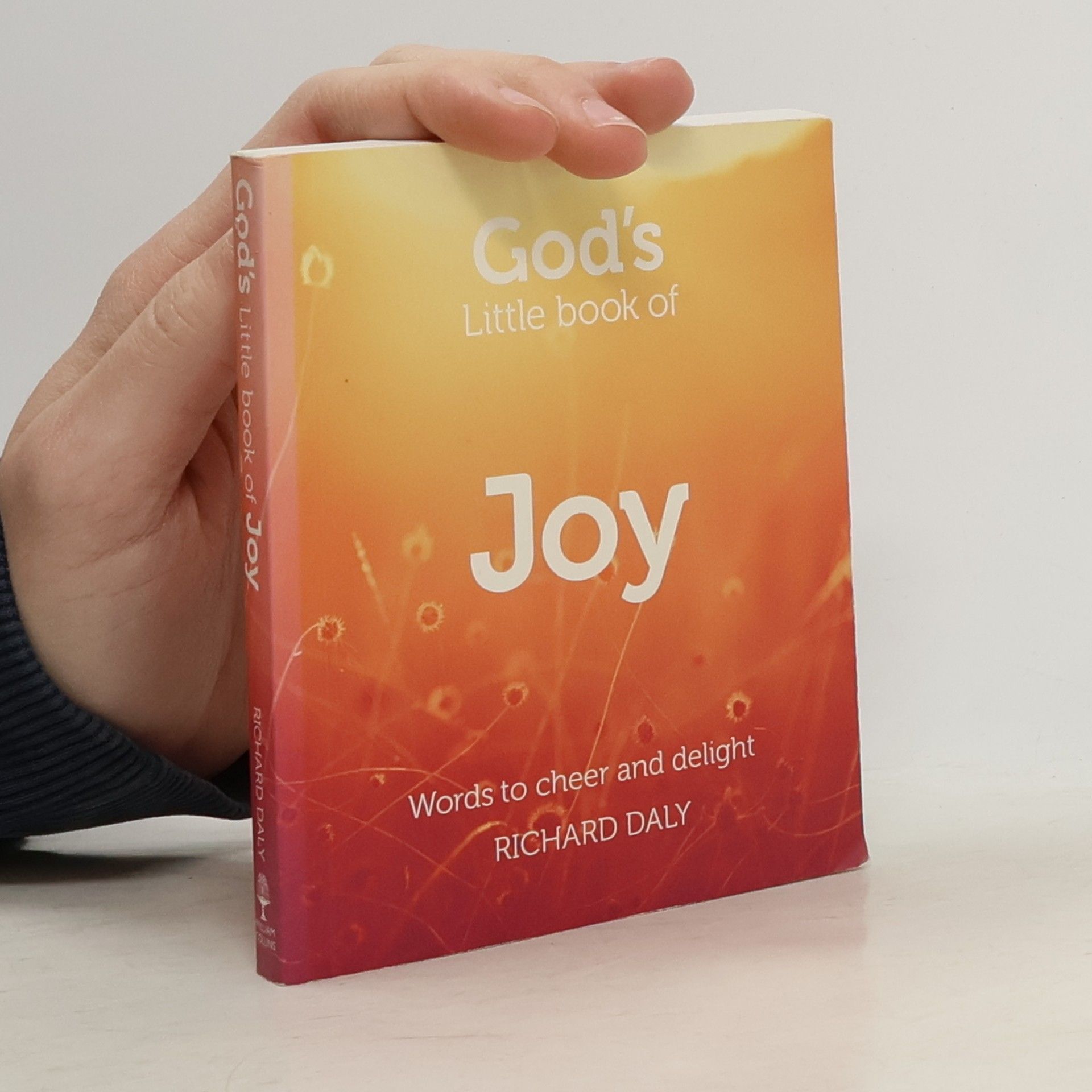Richard Daly God’s Little Book of Joy