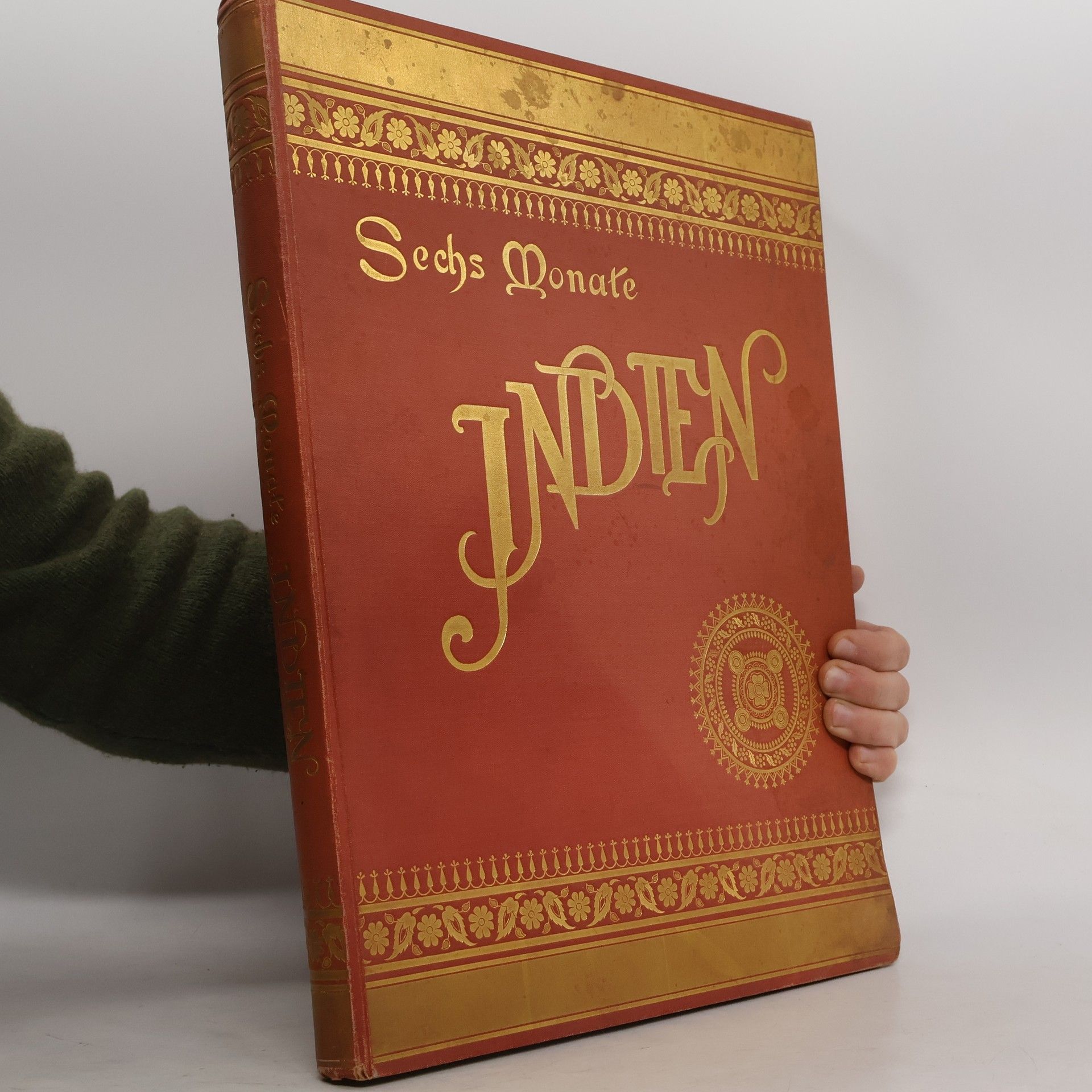 Woldemar Friedrich Sechs Monate Indien