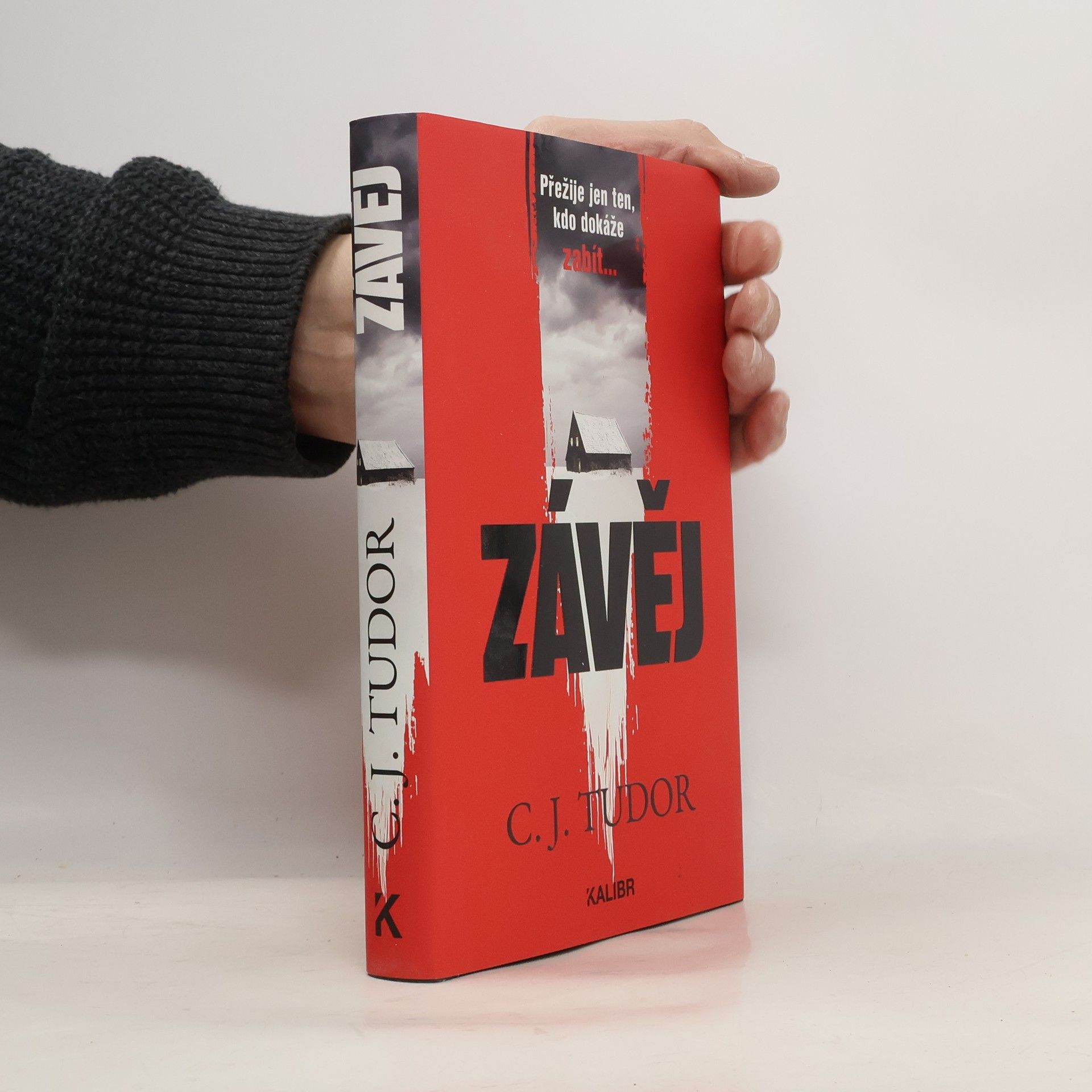 Jana Kunová Závěj