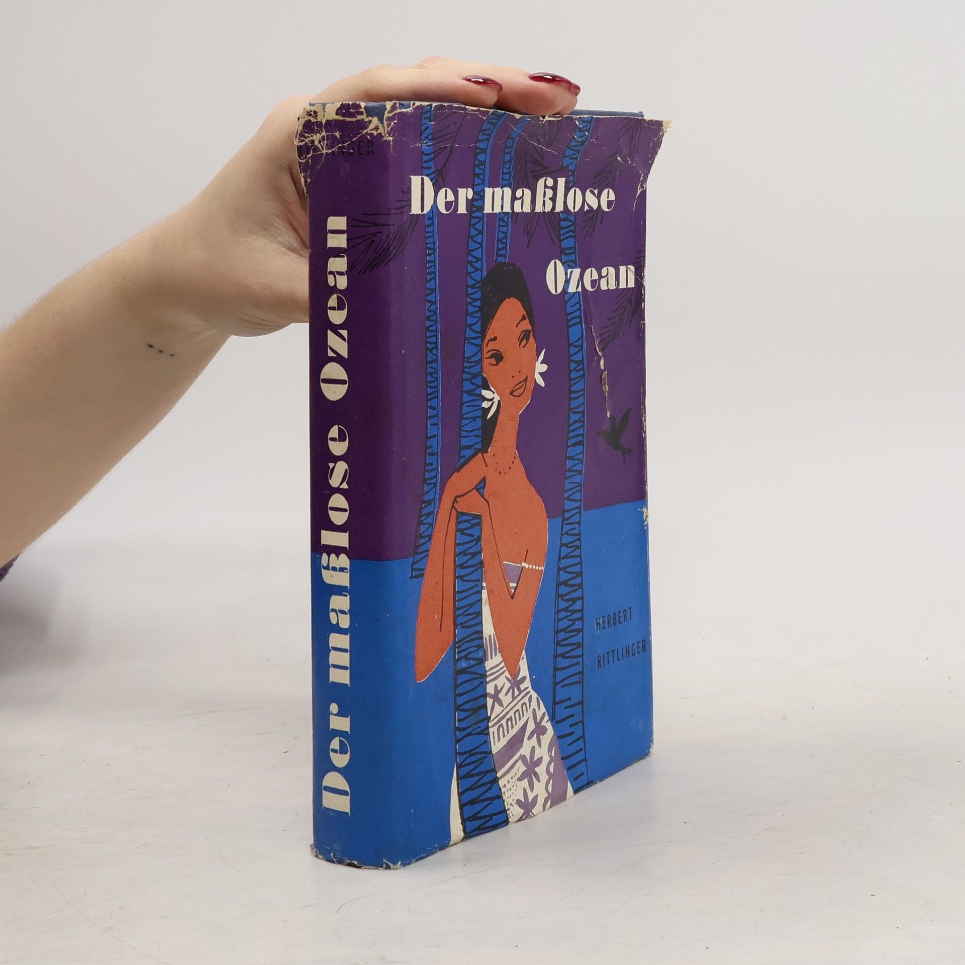 Herbert Rittlinger Der maßlose Ozean