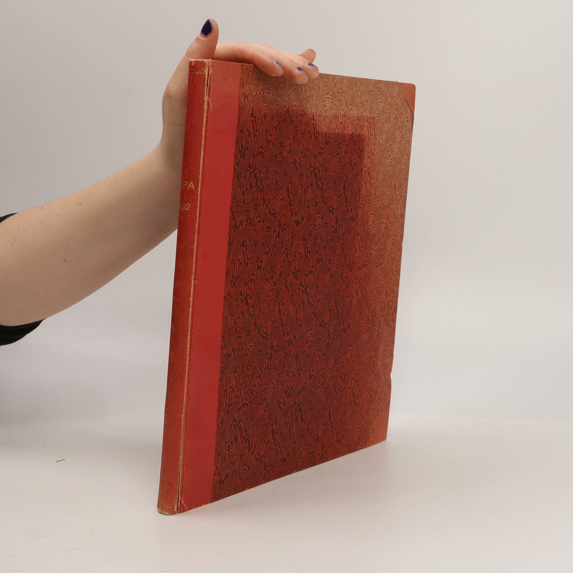 Auteurscollectief Lípa 12