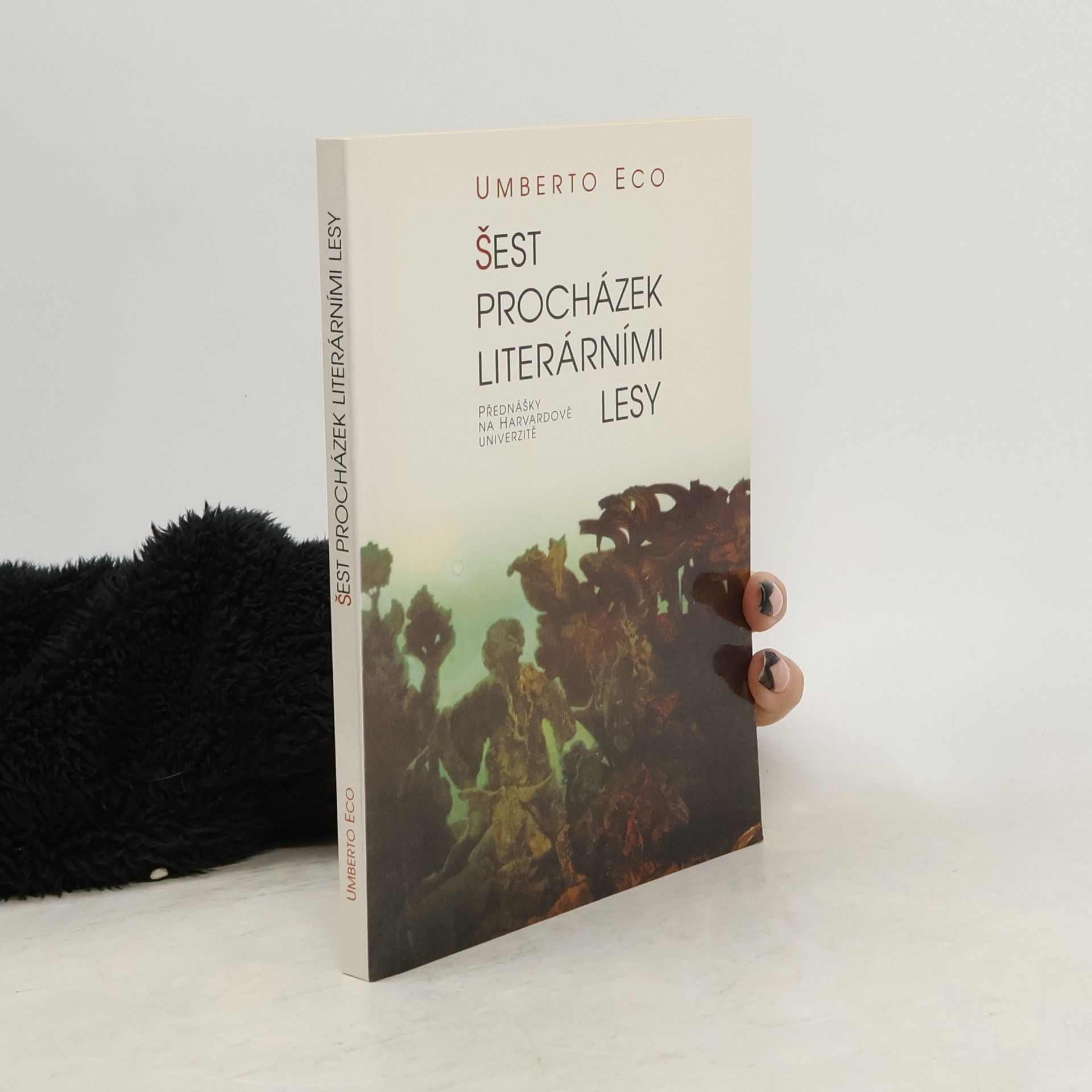 Umberto Eco Šest procházek literárními lesy. Přednášky na Harvardově univerzitě