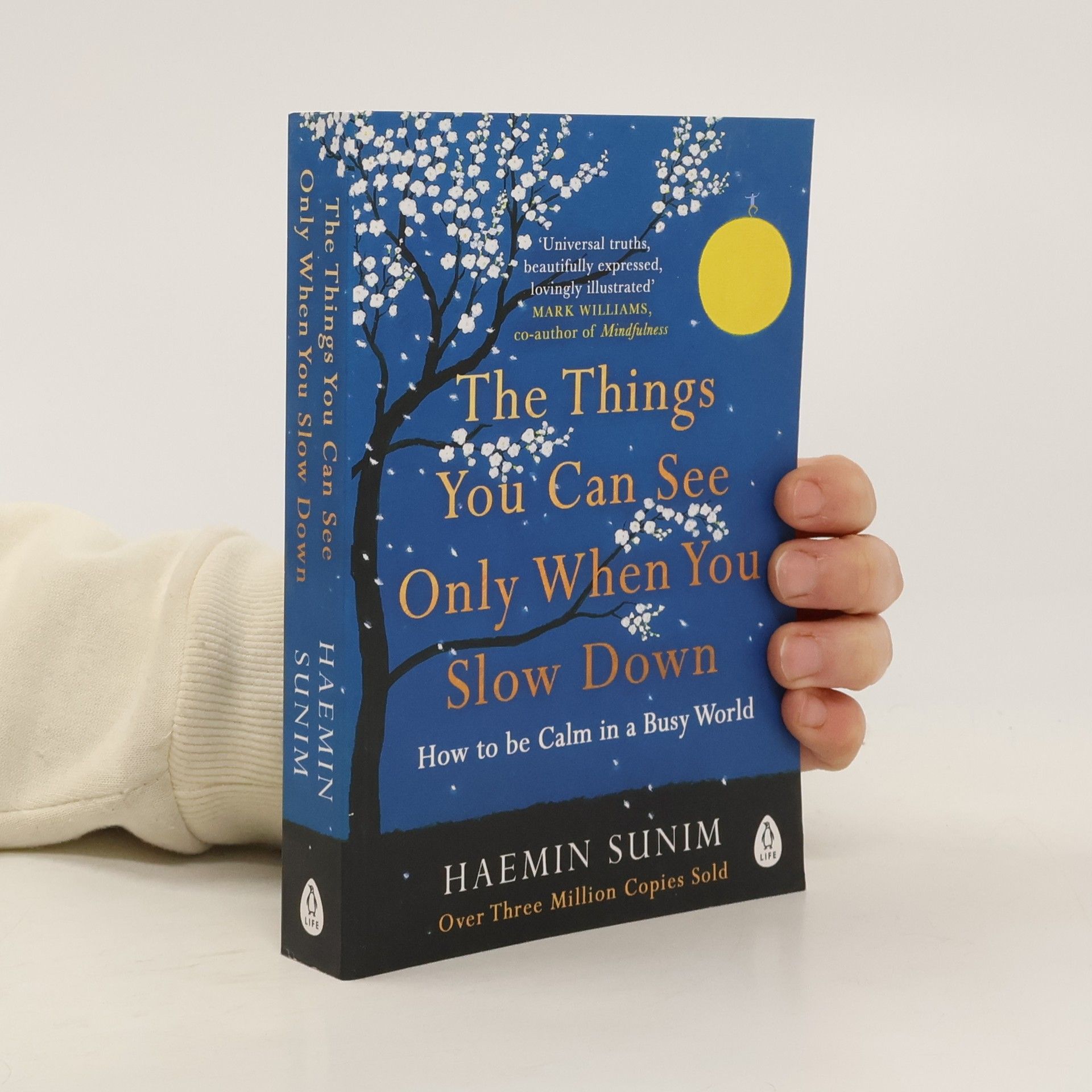 Sunim Haemin The Things You Can See Only When You Slow Down
