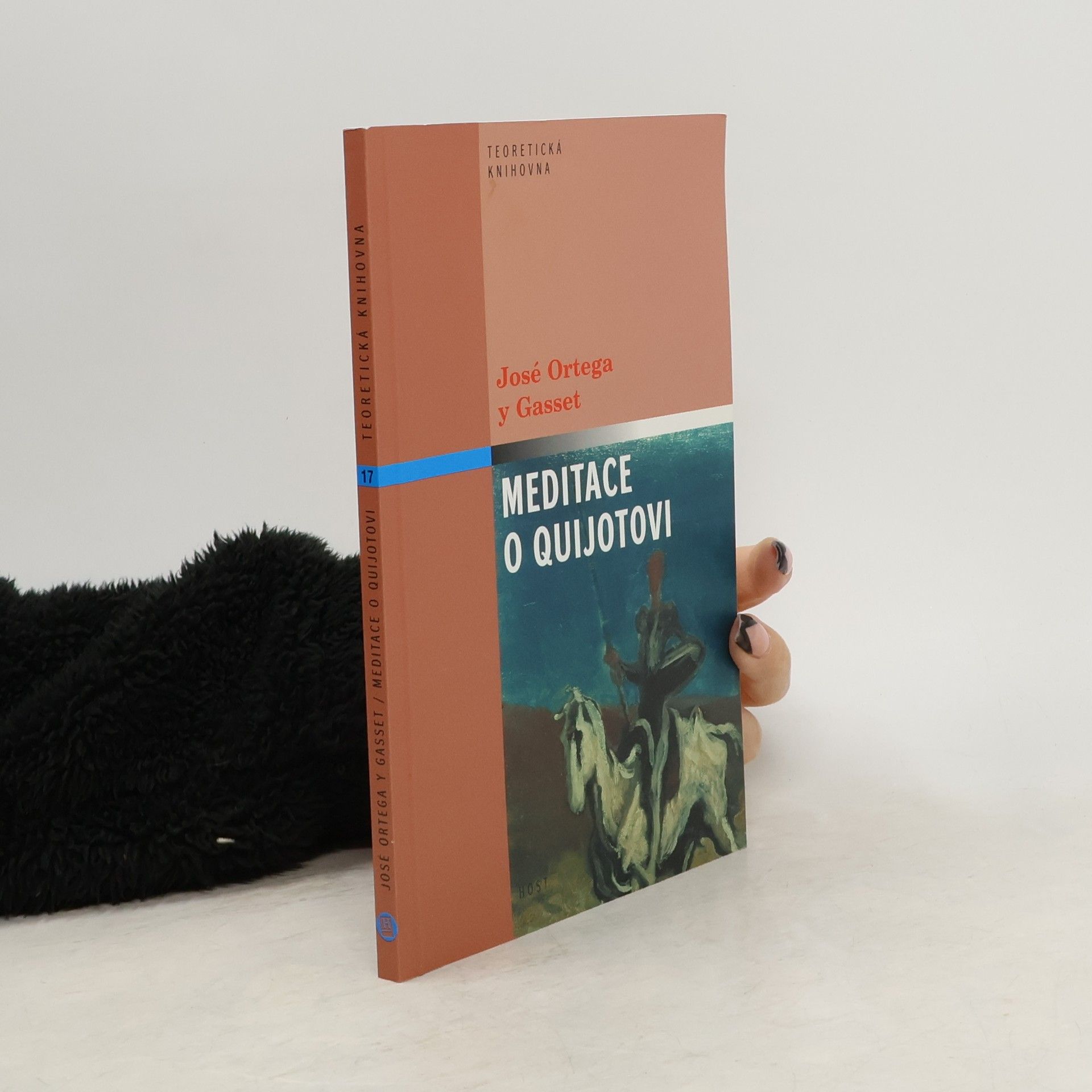 José Ortega y Gasset Meditace o Quijotovi