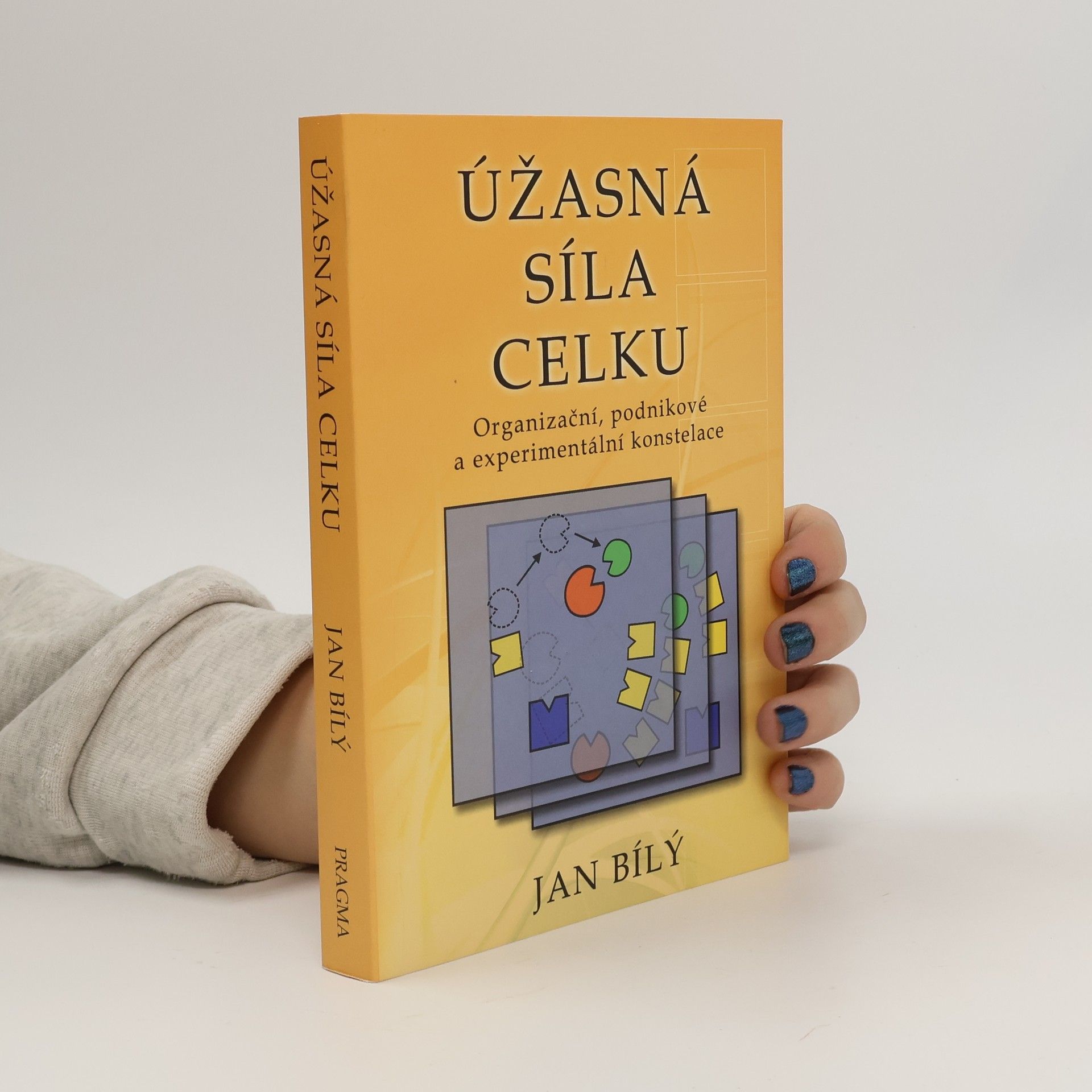 Jan Bílý Úžasná síla celku : organizační, podnikové a experimentální konstelace