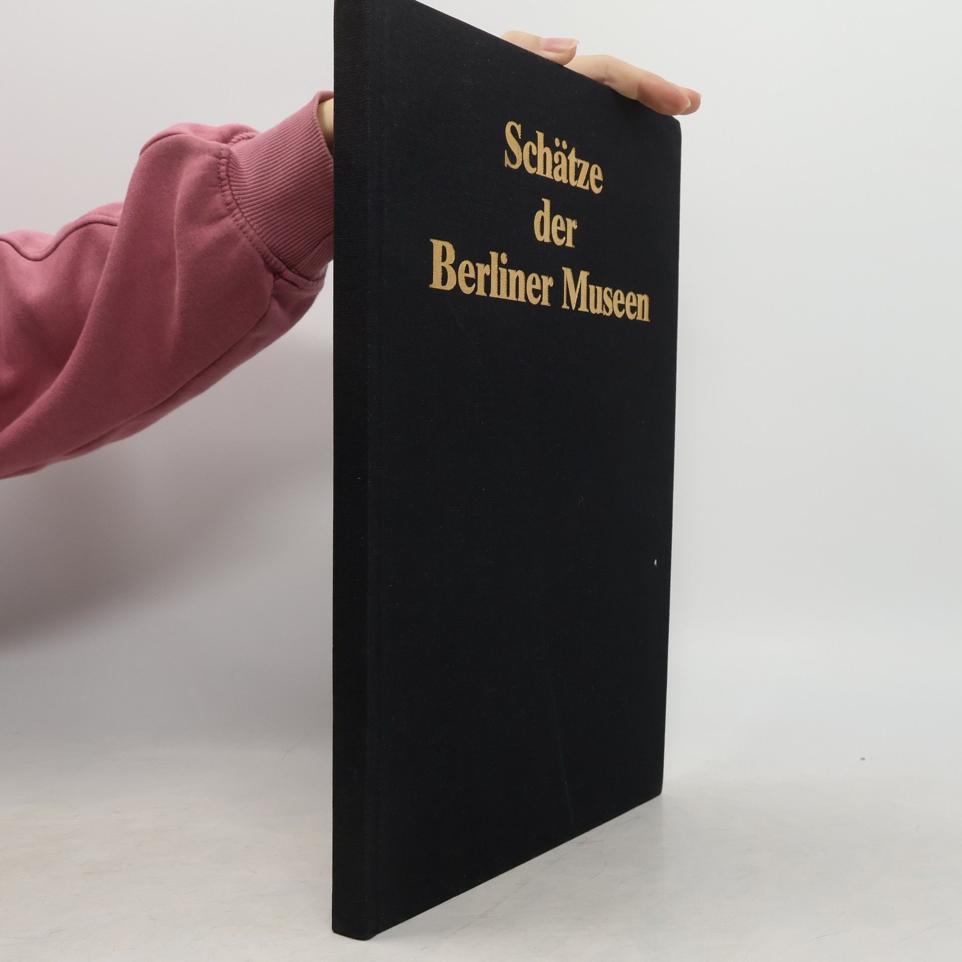 Kolektív autorov Schätze der Berliner Museen