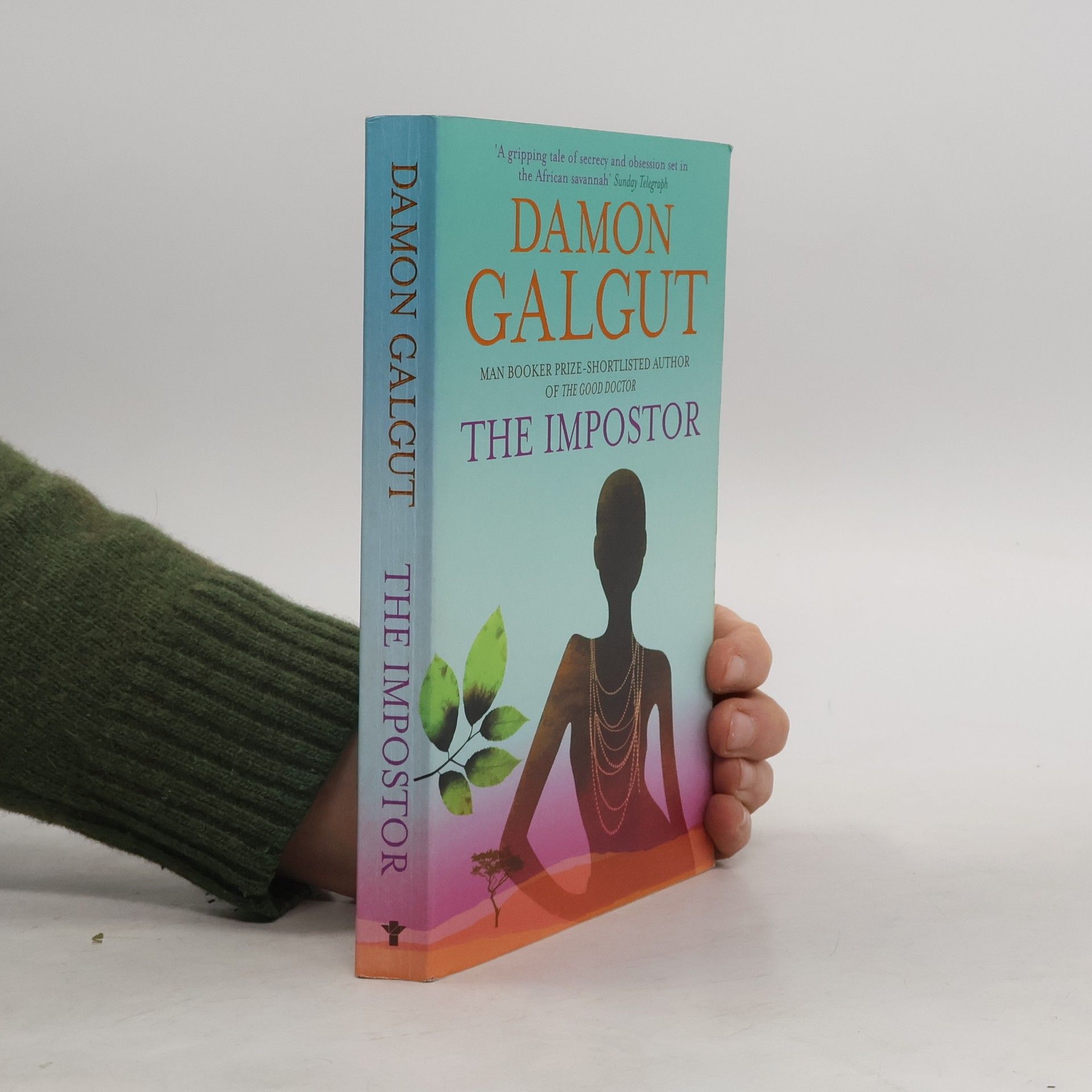 Damon Galgut The Impostor