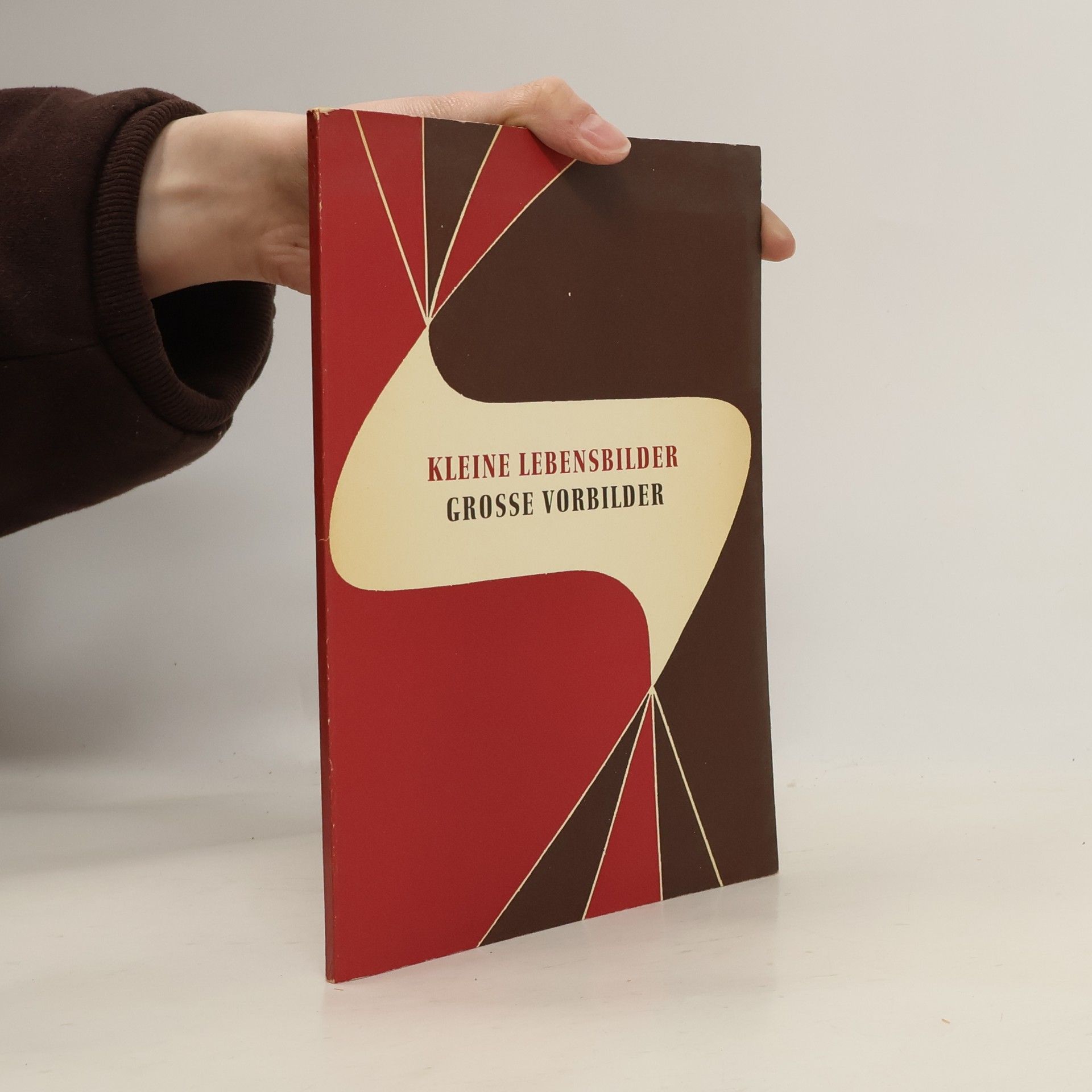 Autorenkollektiv Kleine Lebensbilder. Grosse vorbilder
