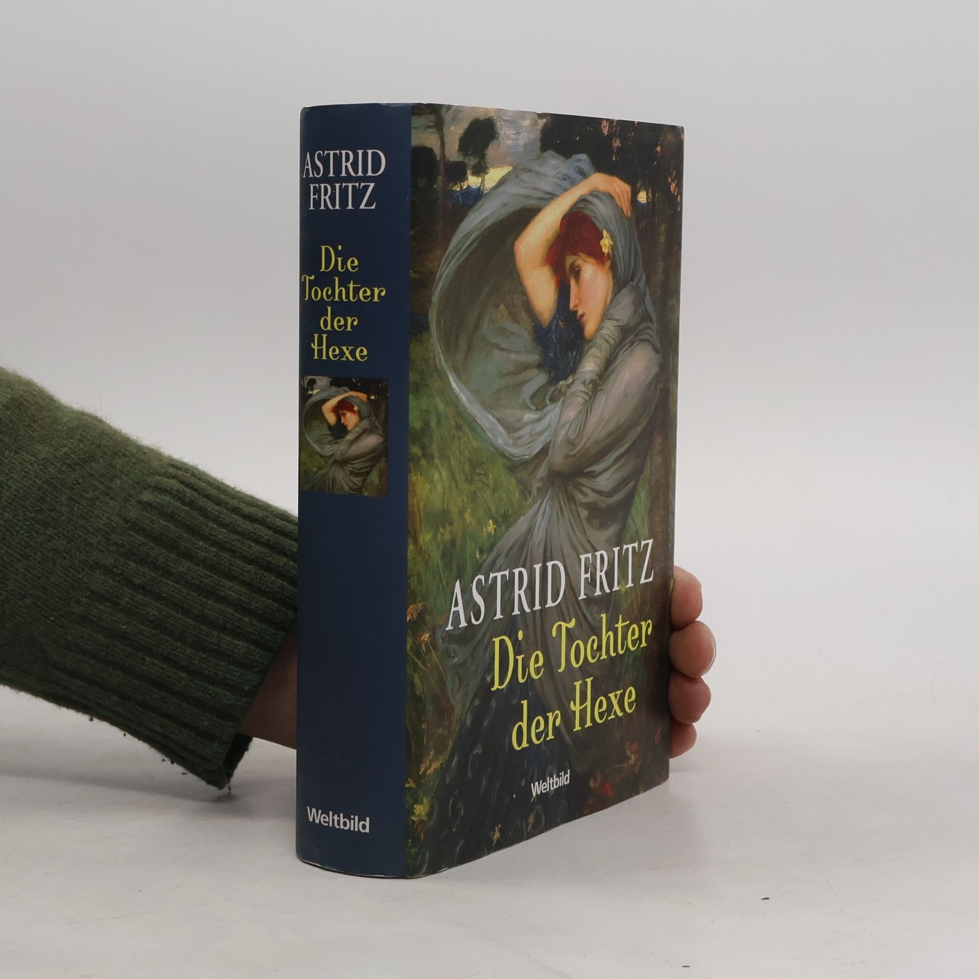 Astrid Fritz Die Tochter der Hexe