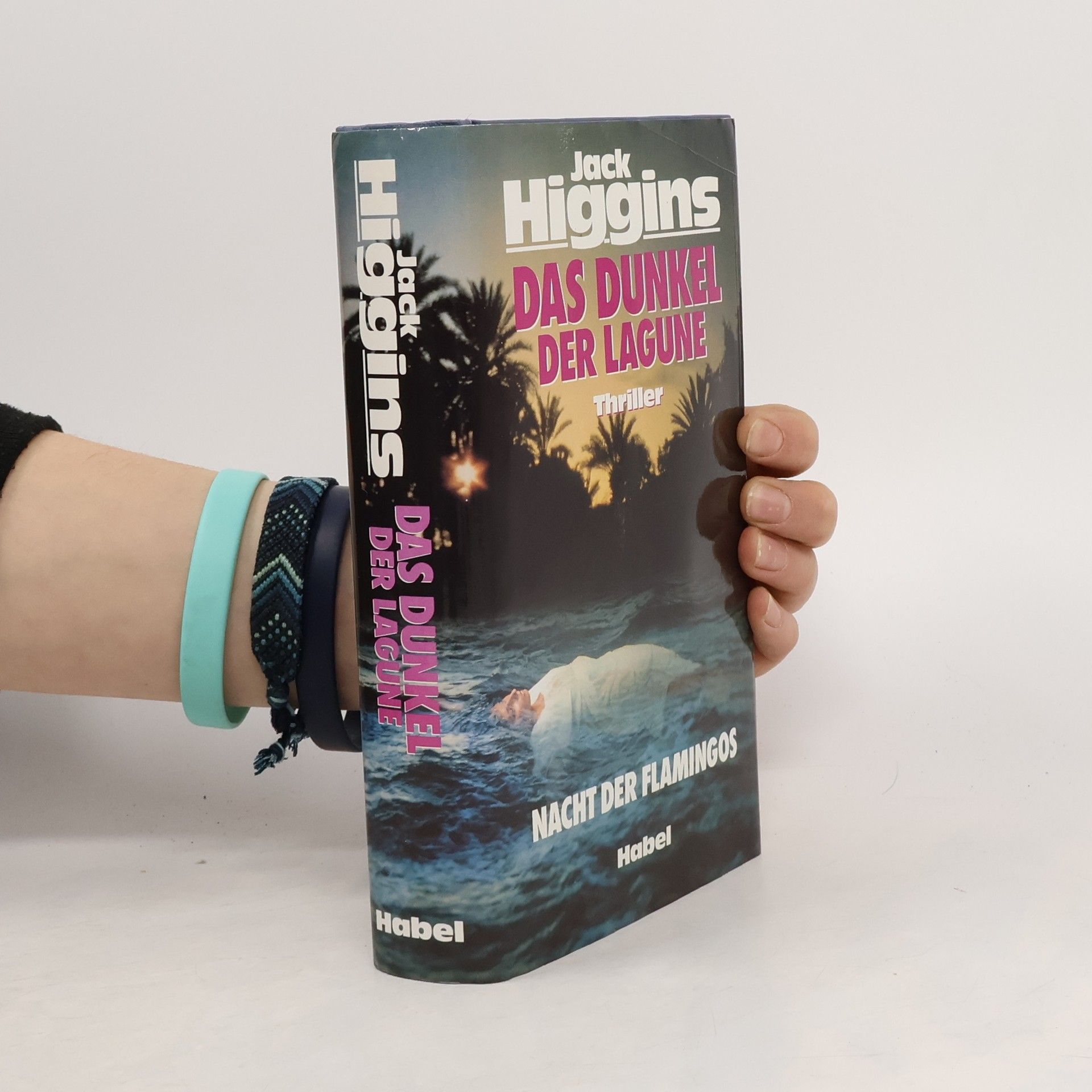 Jack Higgins Das Dunkel der Lagune