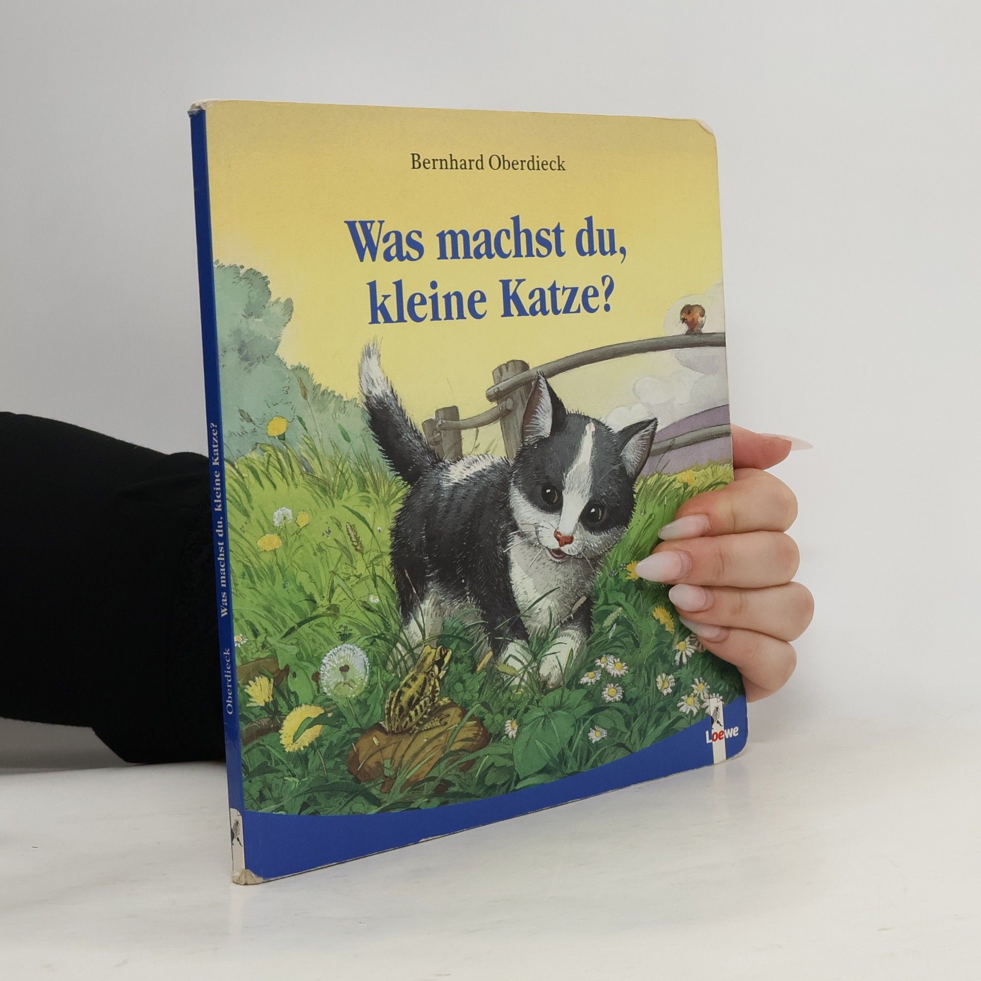 Bernhard Oberdieck Was machst du, kleine Katze?