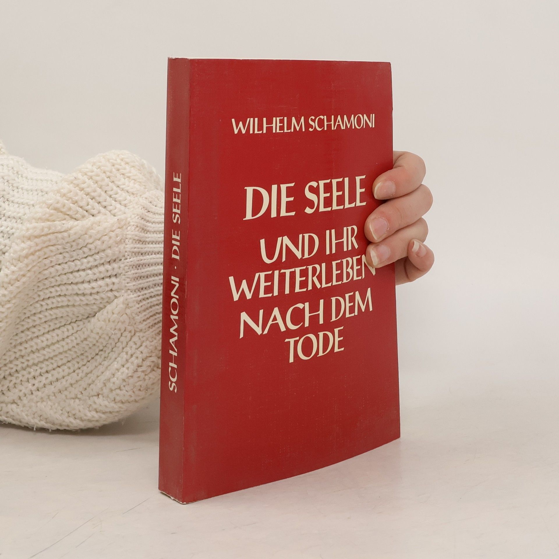 Die Seele und ihr Weiterleben nach dem Tode