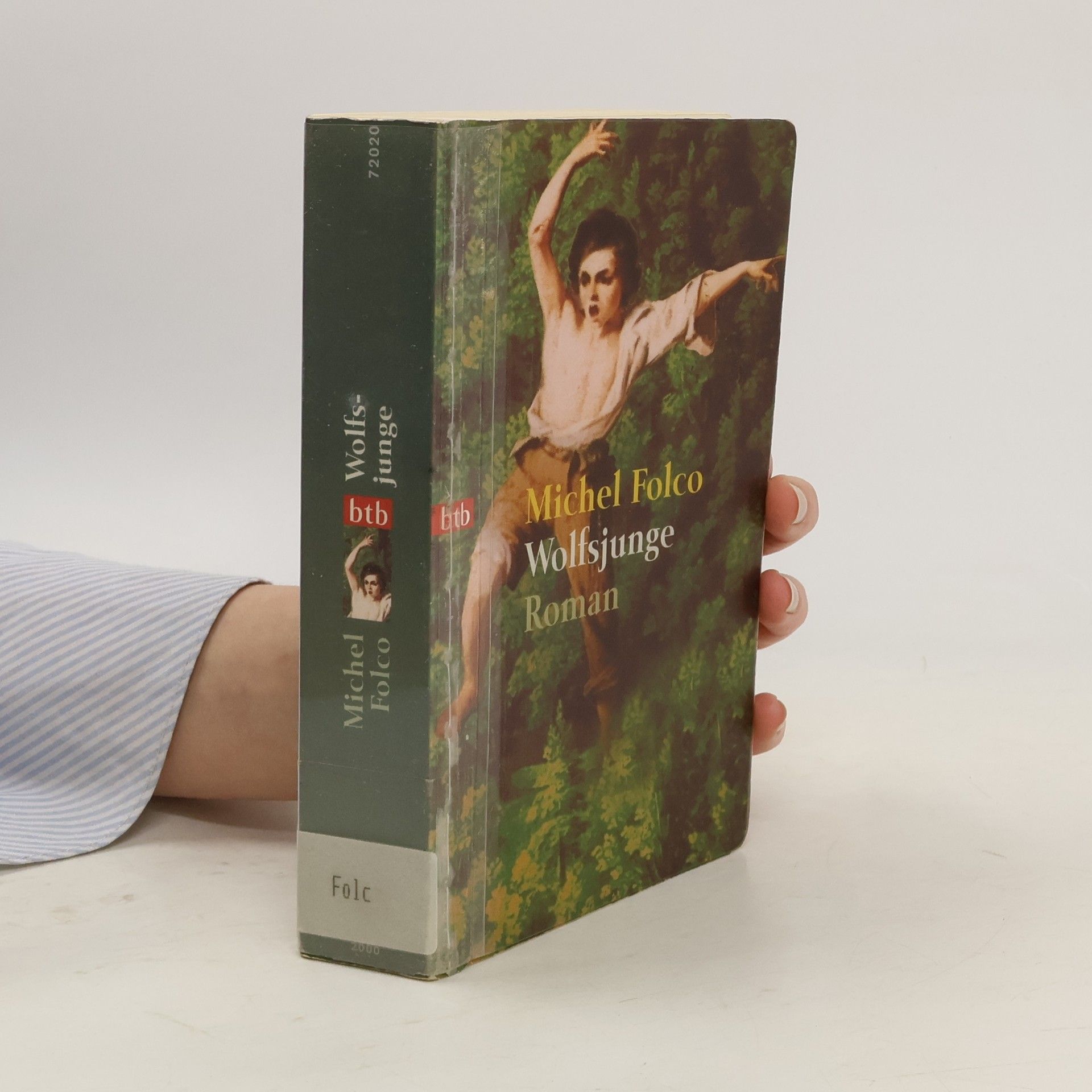 Michel Folco Wolfsjunge