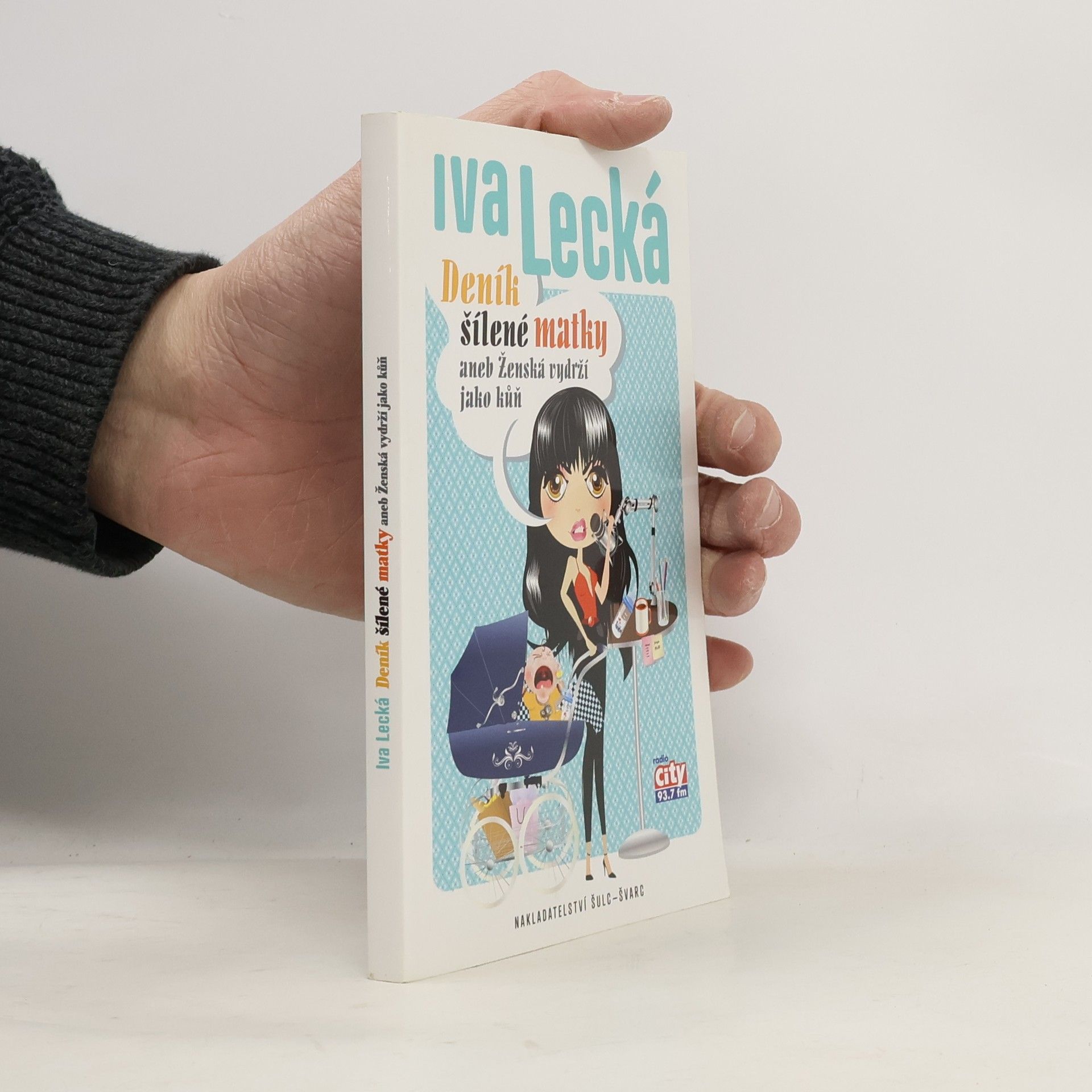 Iva Lecká Deník šílené matky