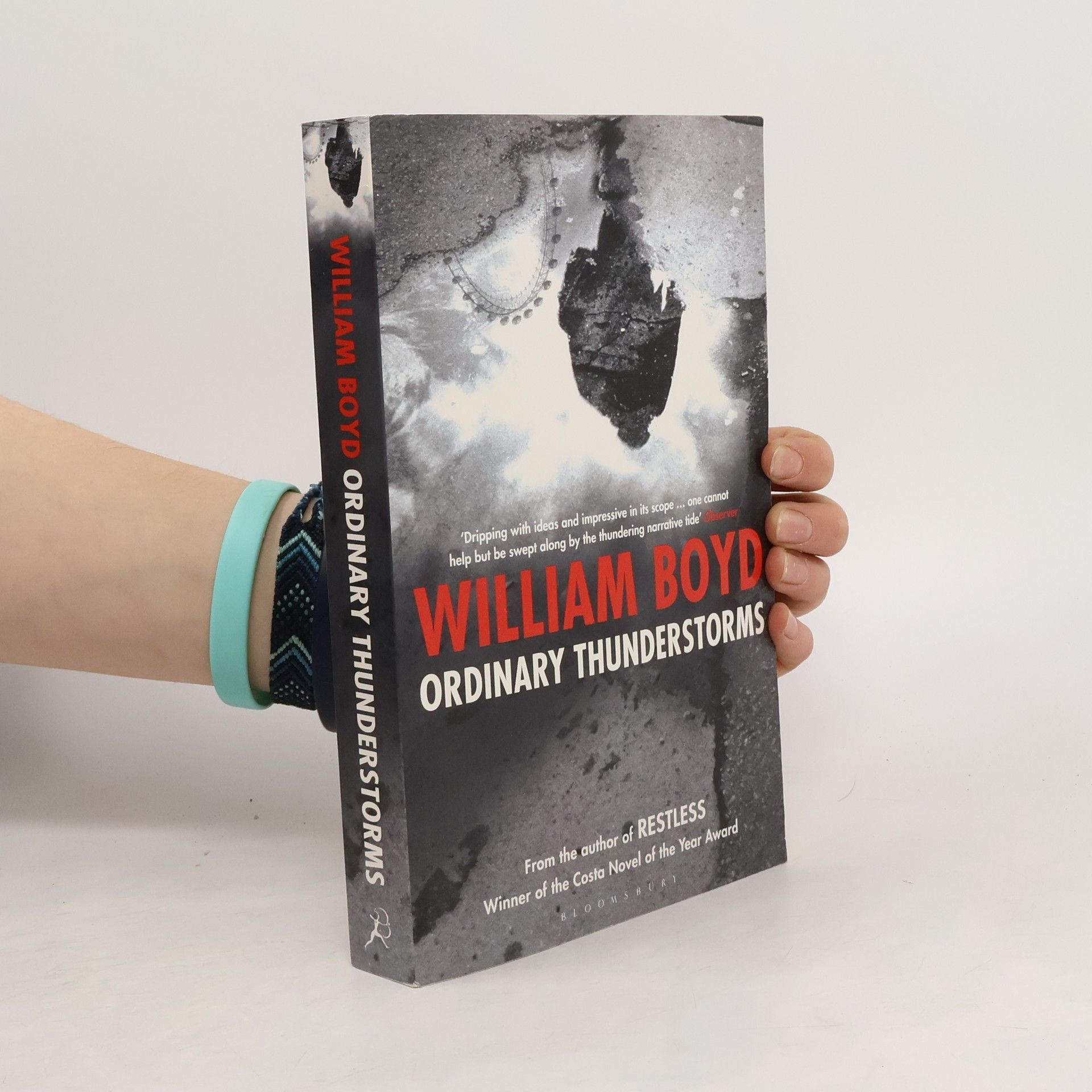 William Boyd Ordinary thunderstorms