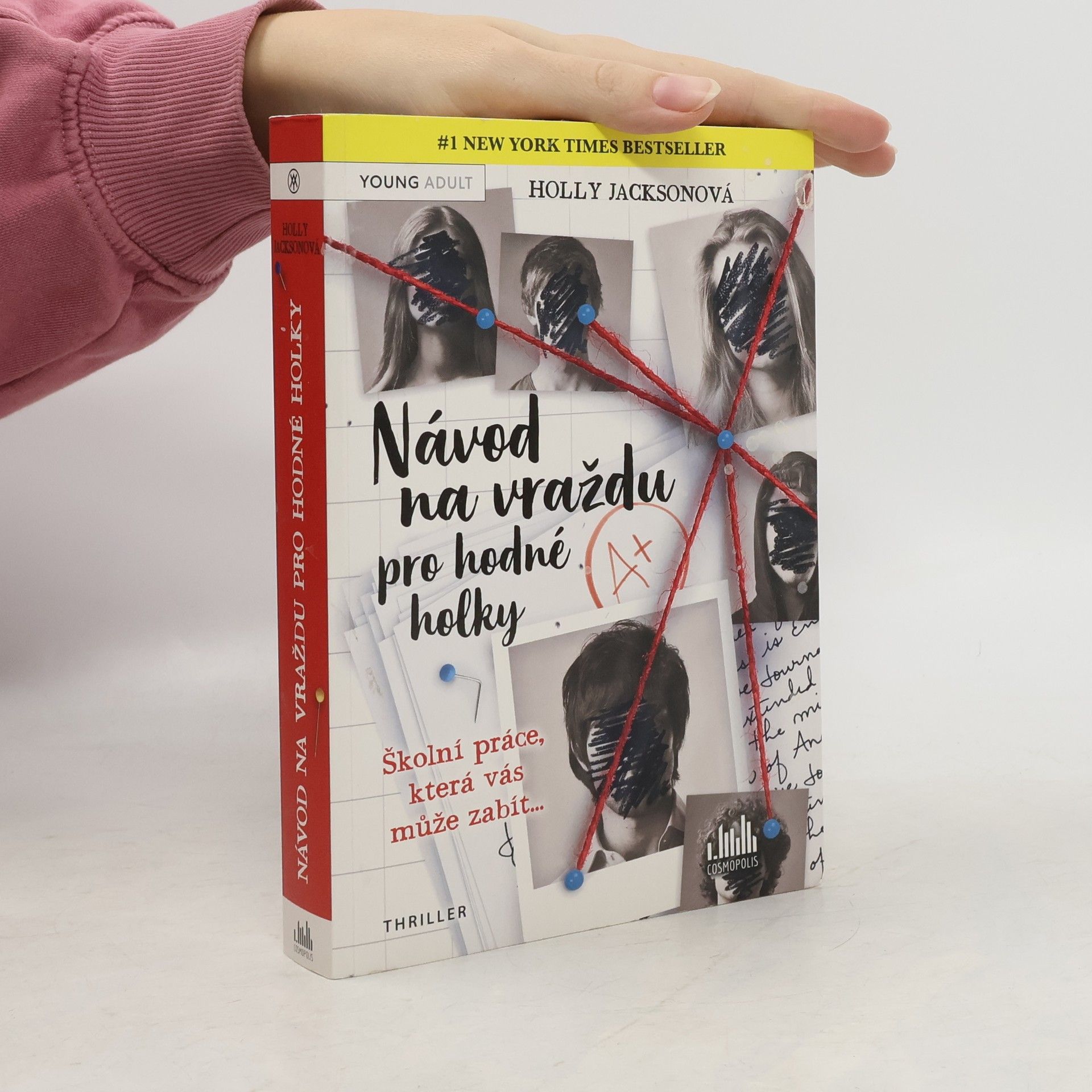 Holly Jackson Návod na vraždu pro hodné holky
