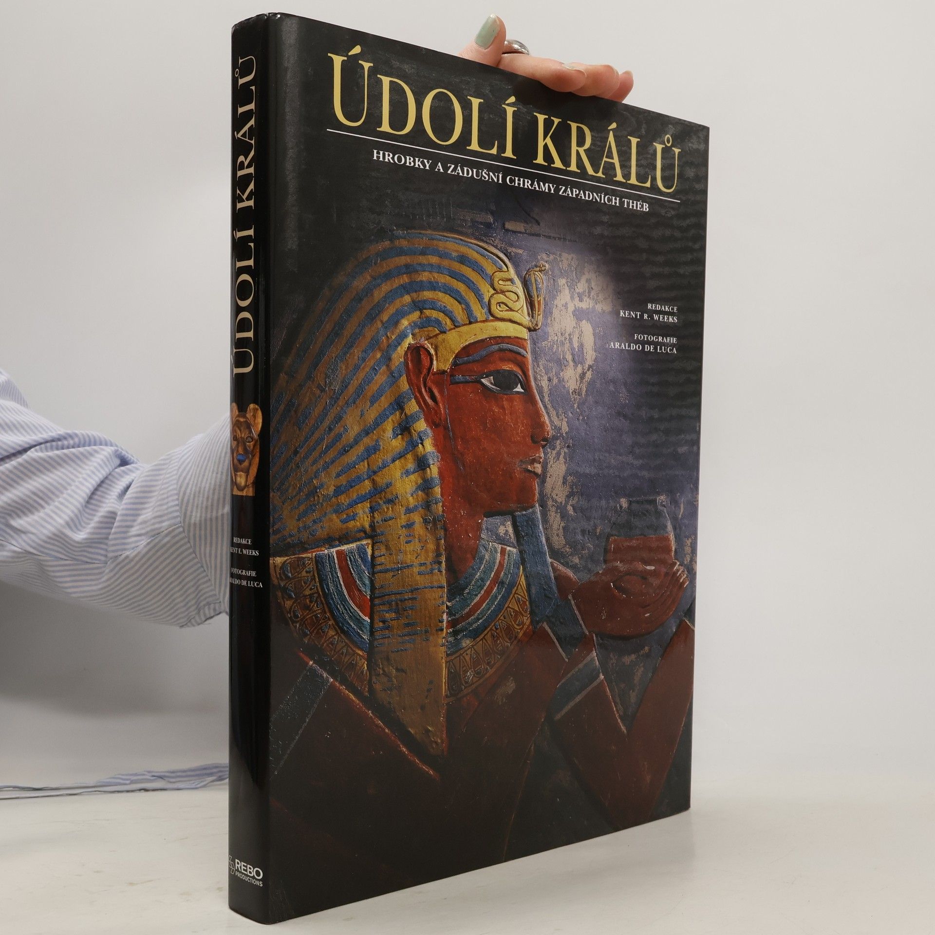 Údolí králů : hrobky a zádušní chrámy západních Théb