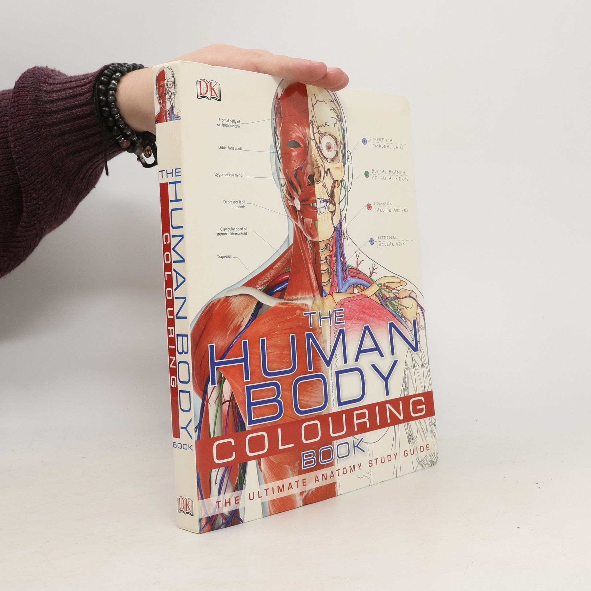 Dorling Kindersley Publishing Staff The Human Body Coloring Book