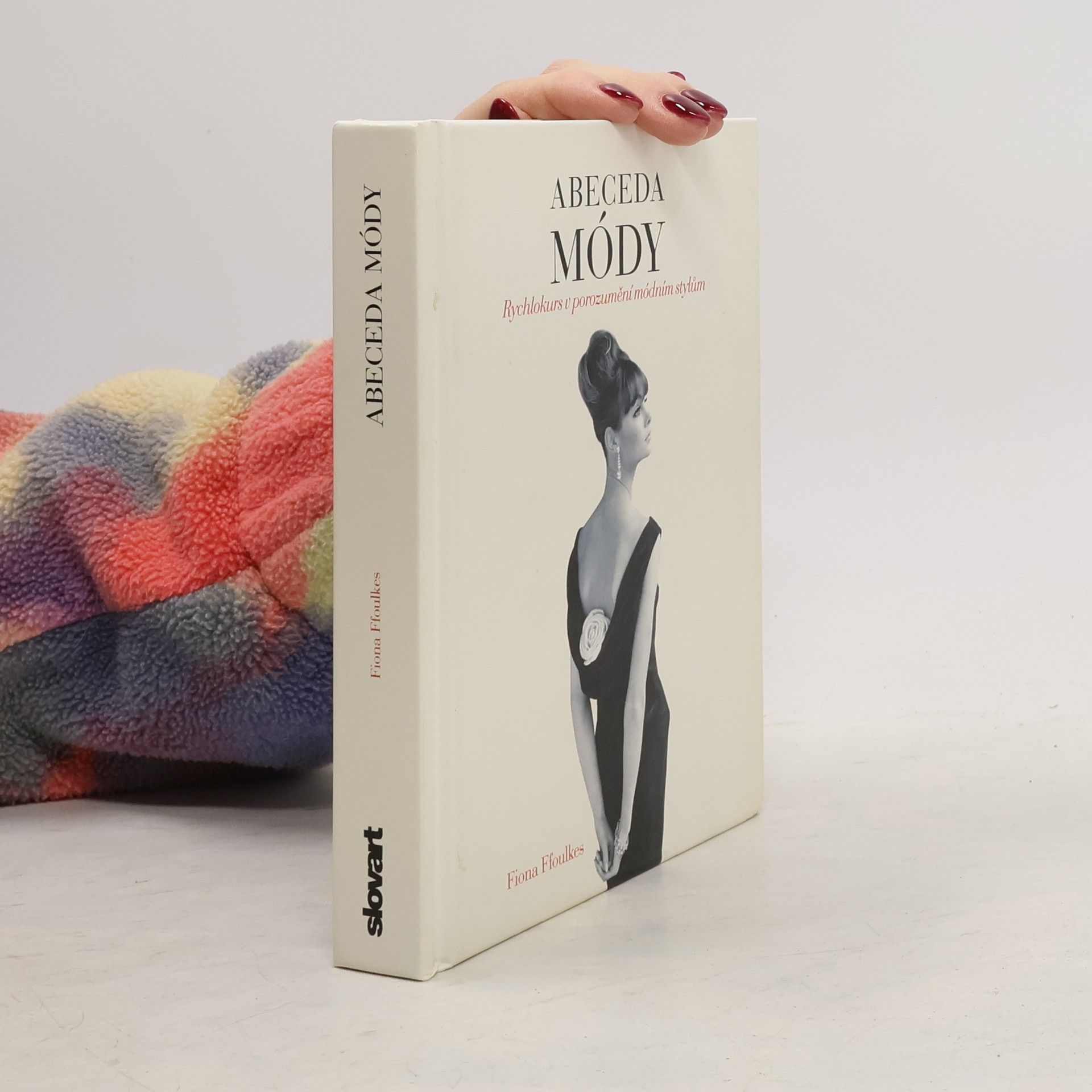 Fiona Ffoulkes Abeceda módy: Rychlokurs v porozumění módním stylům