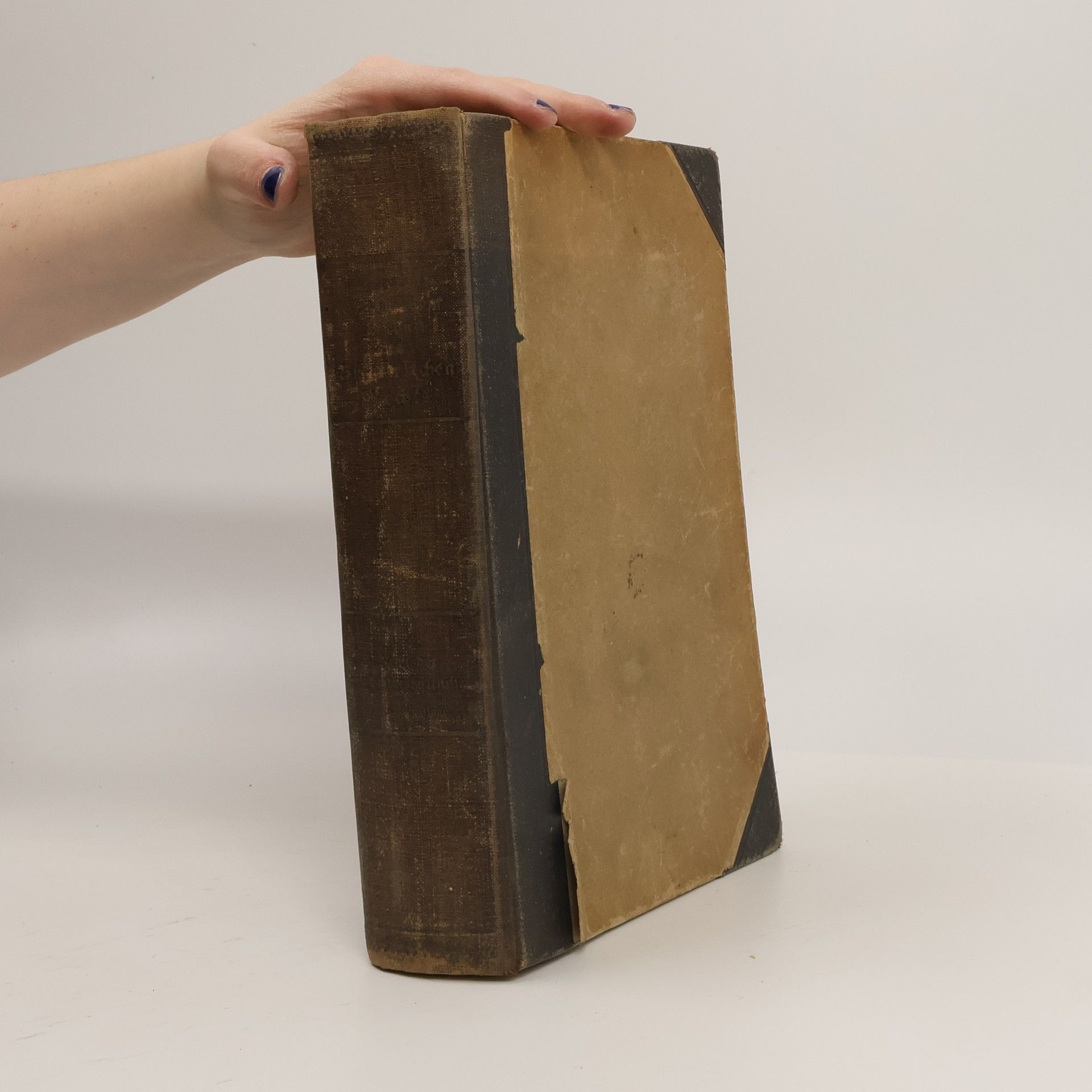 Ludwig Enneccerus Lehrbuch des Bürgerlichen Rechts I.
