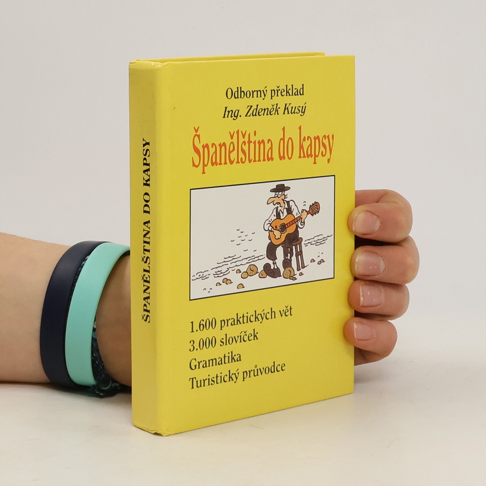 Španělština do kapsy