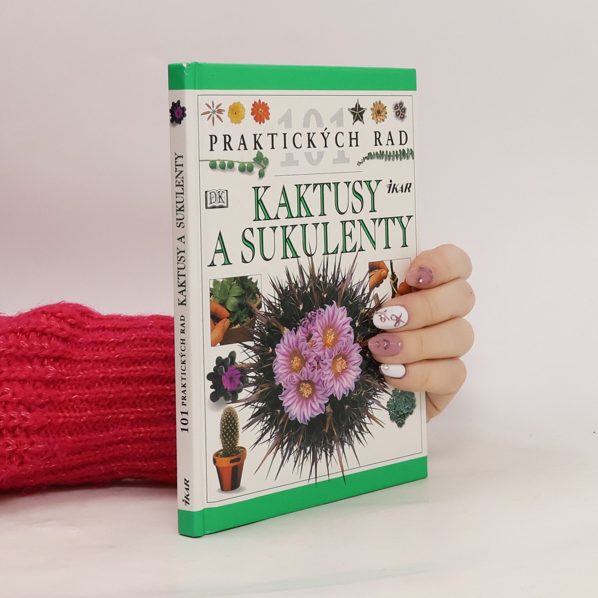 Terry Hewitt Kaktusy a sukulenty