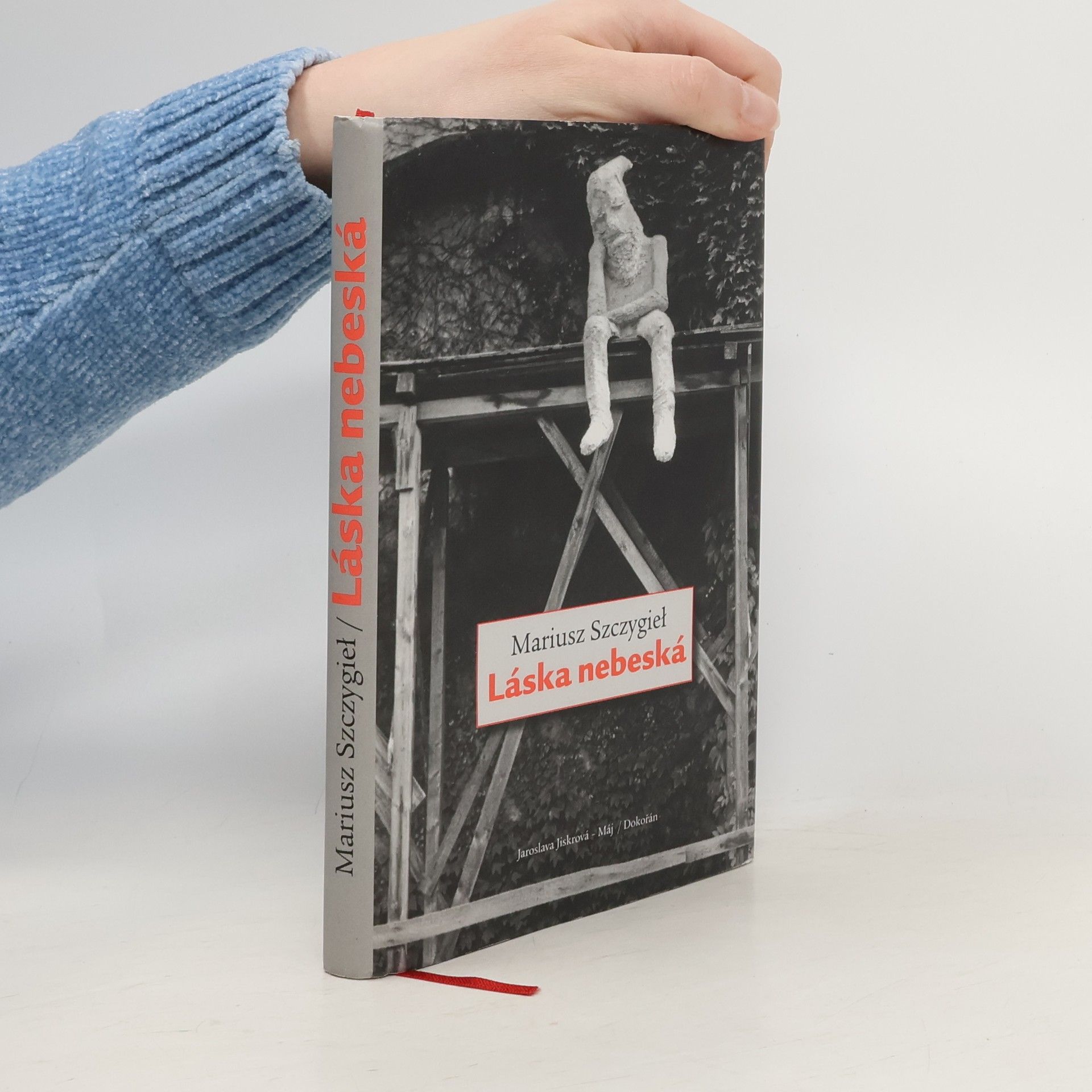 Mariusz Szczygieł Láska nebeská