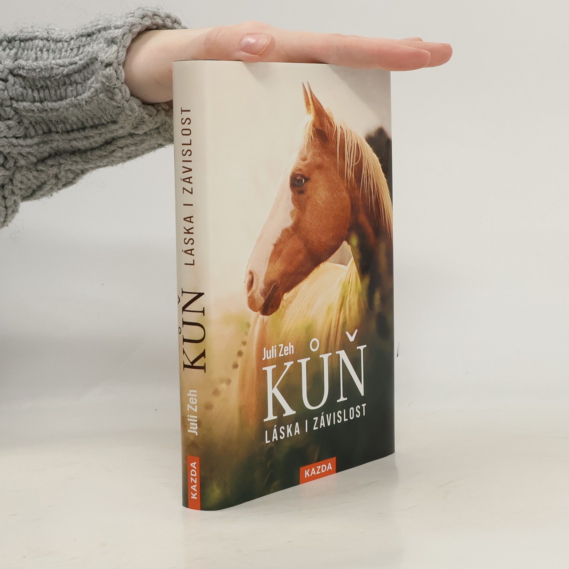 Jana Zoubková Kůň : láska i závislost
