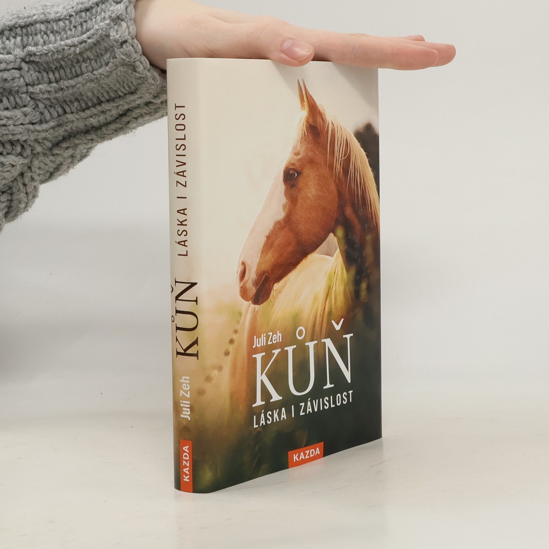 Jana Zoubková Kůň : láska i závislost