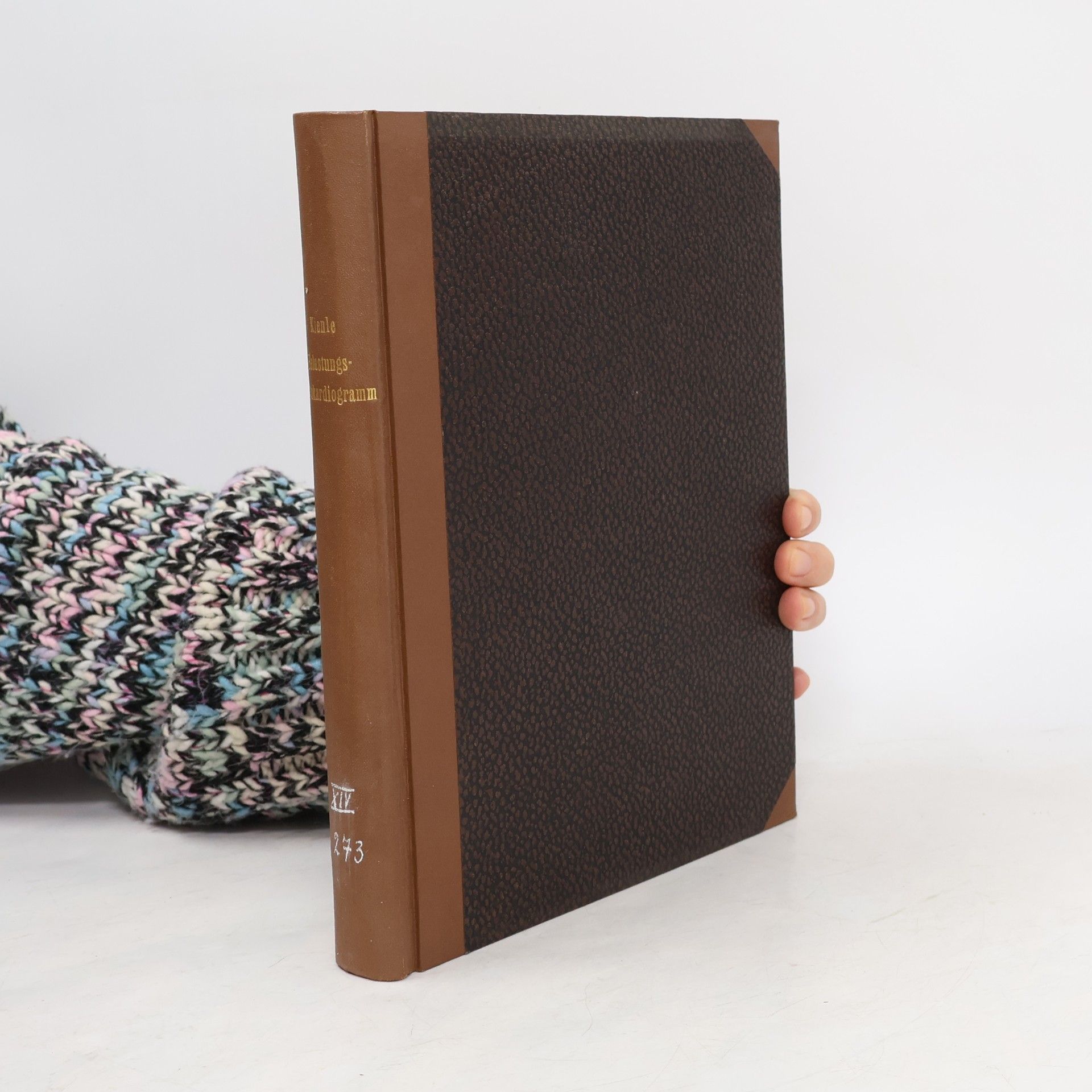 Das Belastungs-Elektrokardiogramm und das Steh-EKG