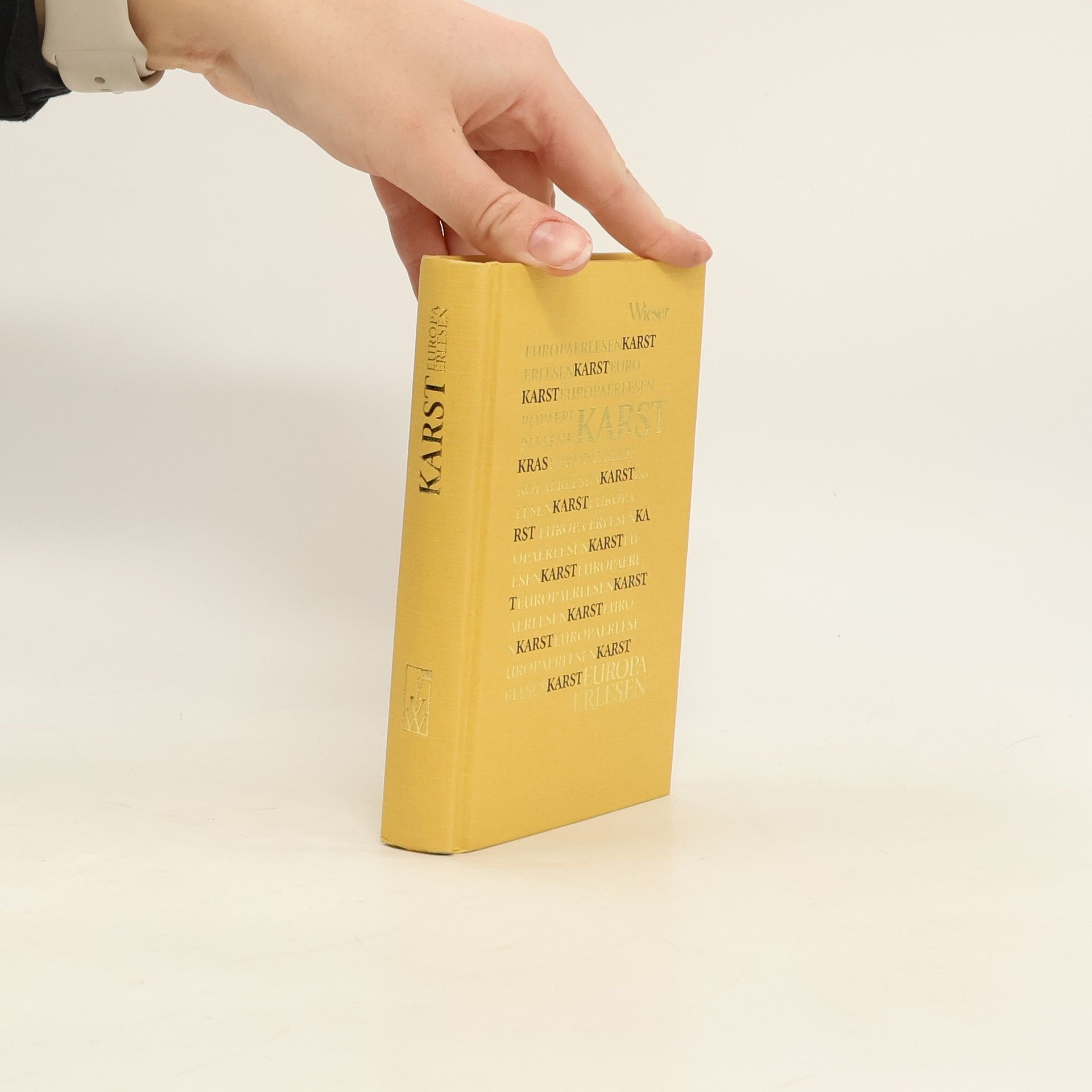 Autorenkollektiv Venedig