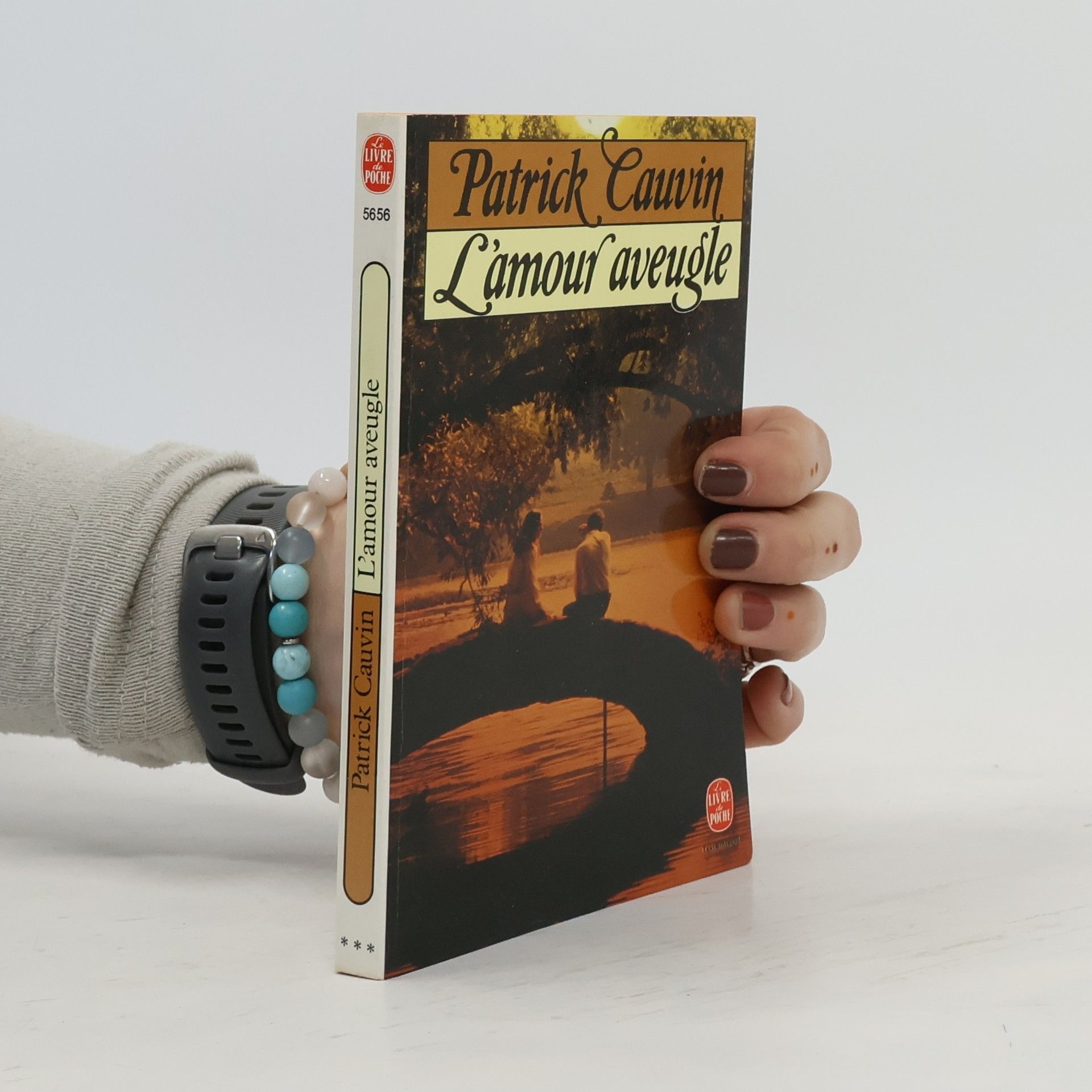 Patrick Cauvin L'amour aveugle