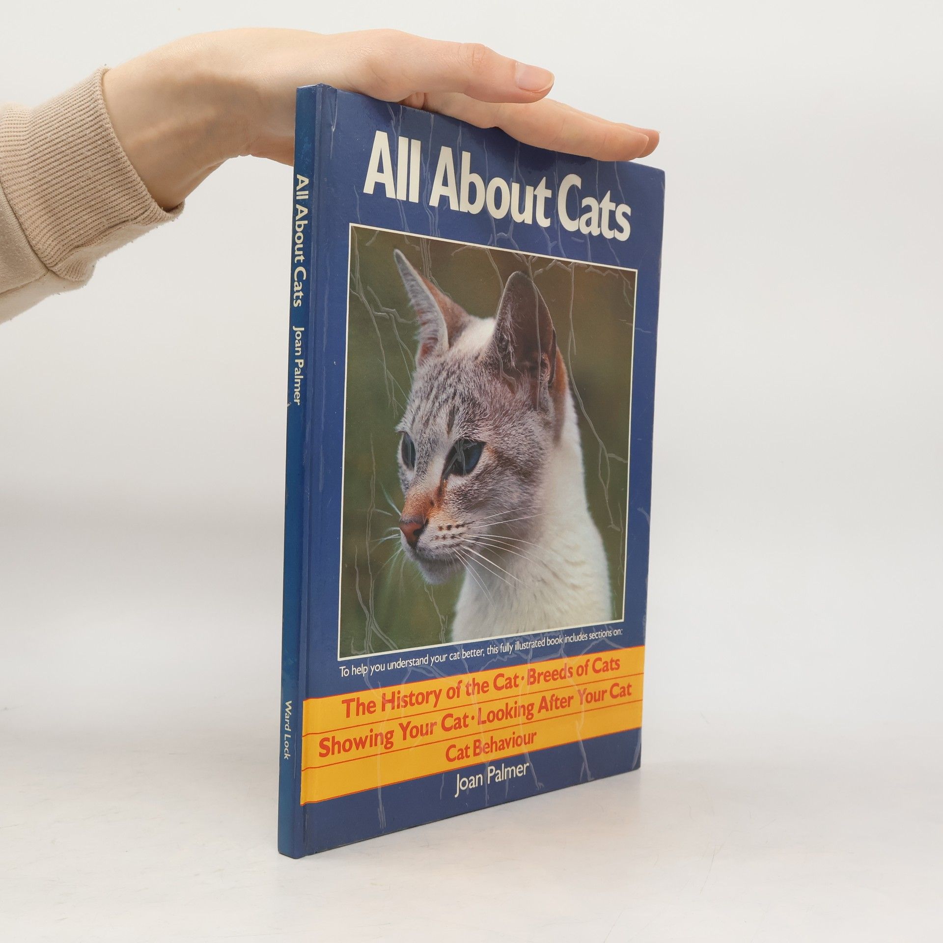 All About Cats