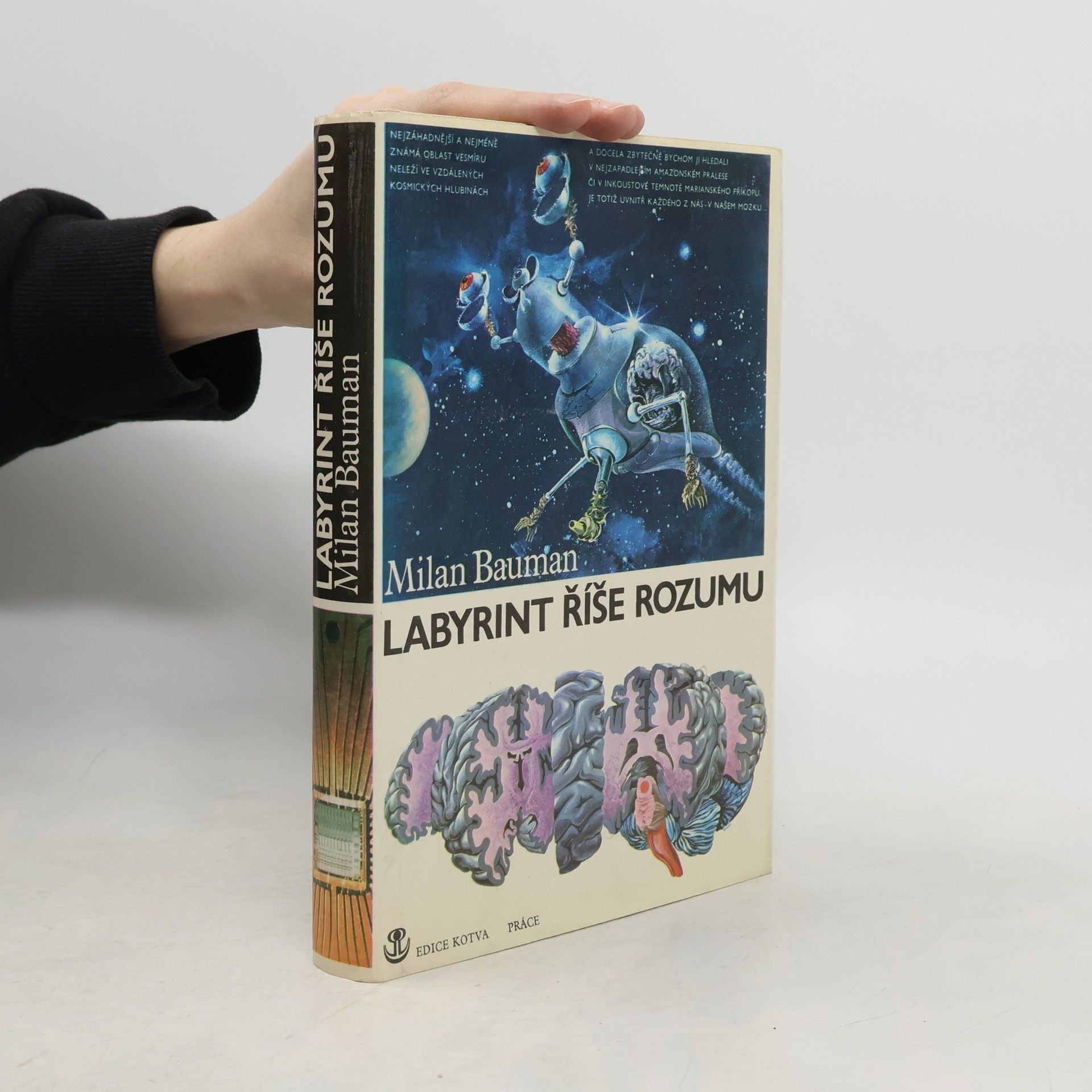Milan Bauman Labyrint říše rozumu