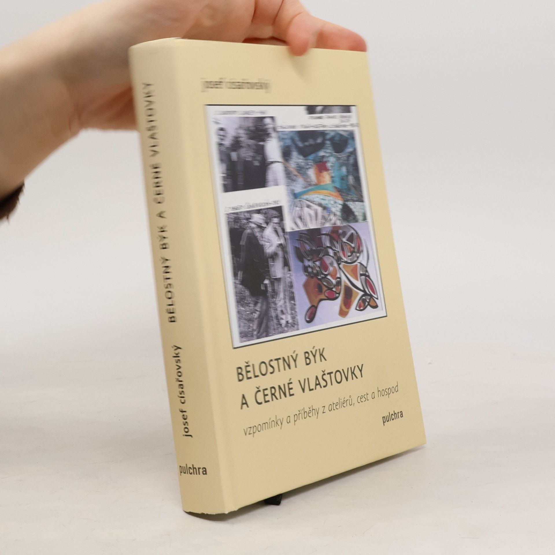 Josef Císařovský Bělostný býk a černé vlaštovky