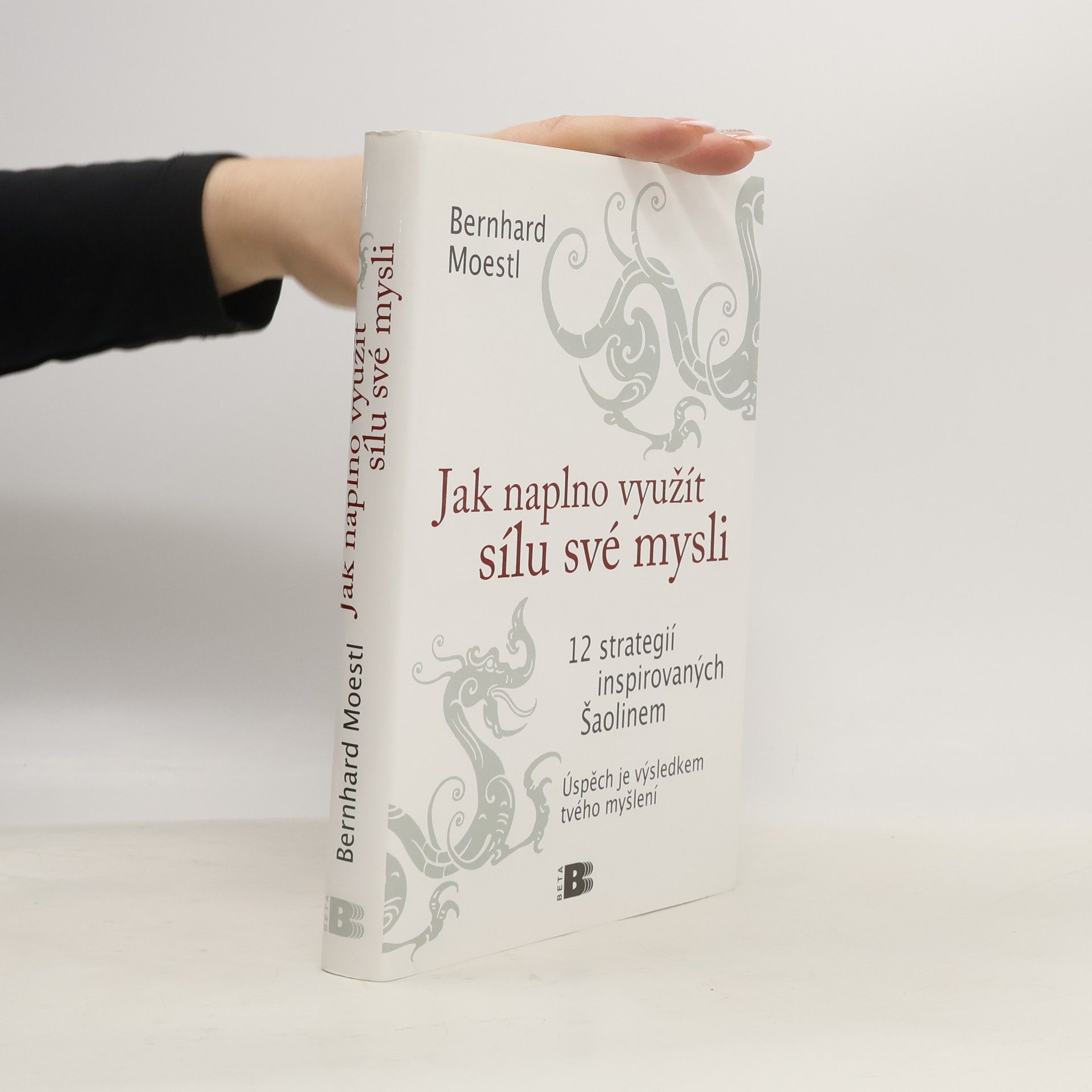 Bernhard Moestl Jak naplno využít sílu své mysli. 12 strategií inspirovaných Šaolinem