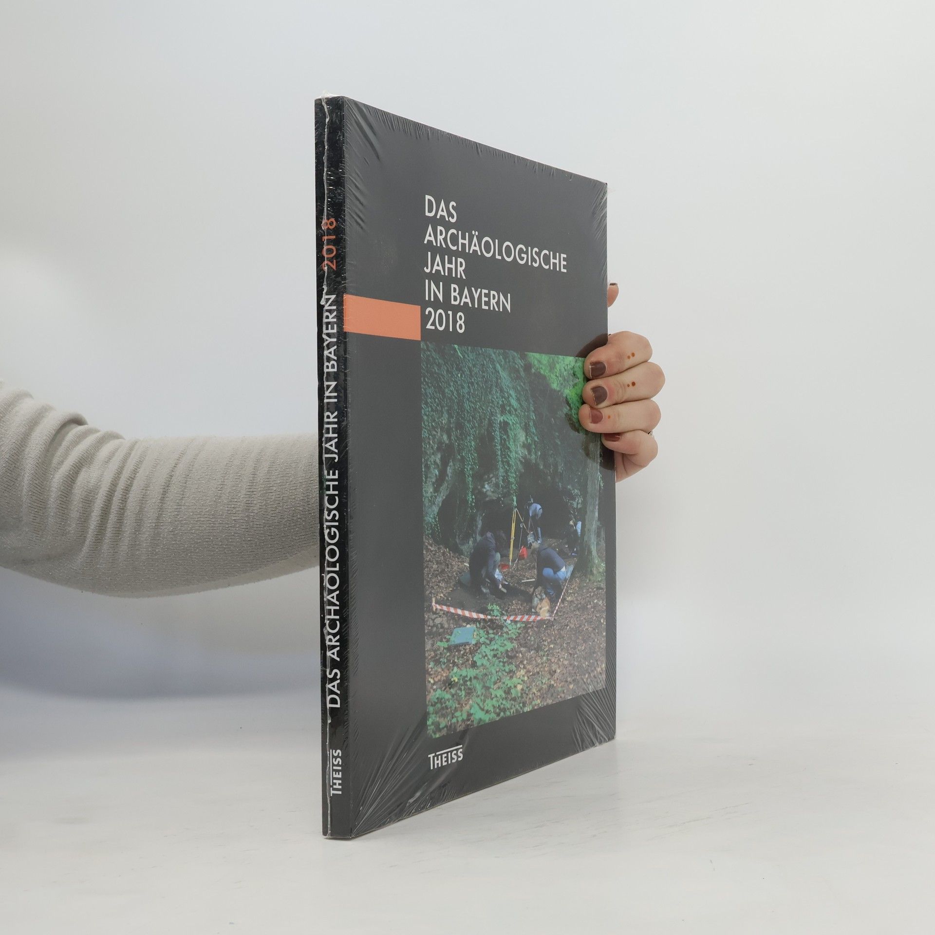 Autorenkollektiv Das Archäologische Jahr in Bayern