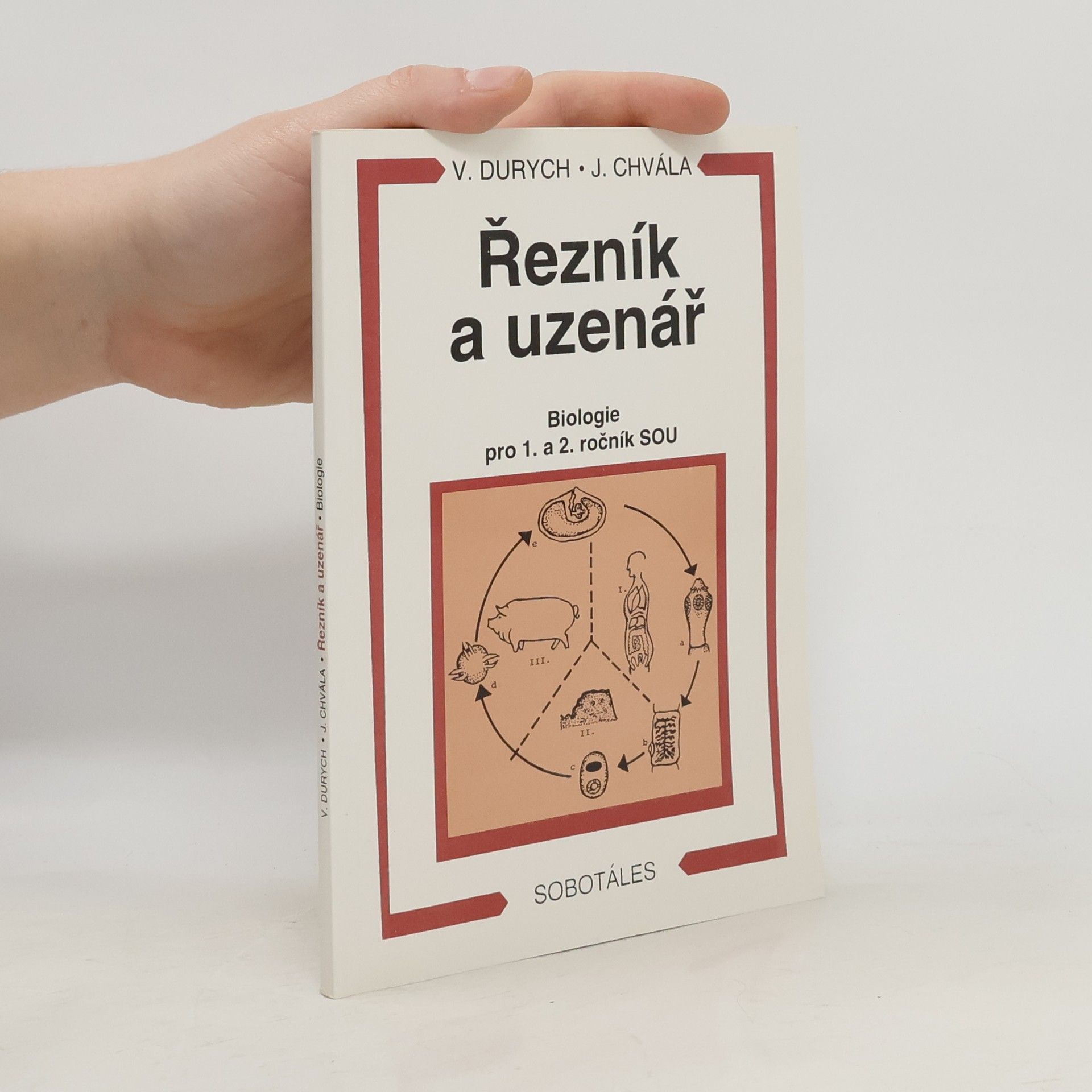 Václav Durych Řezník a uzenář