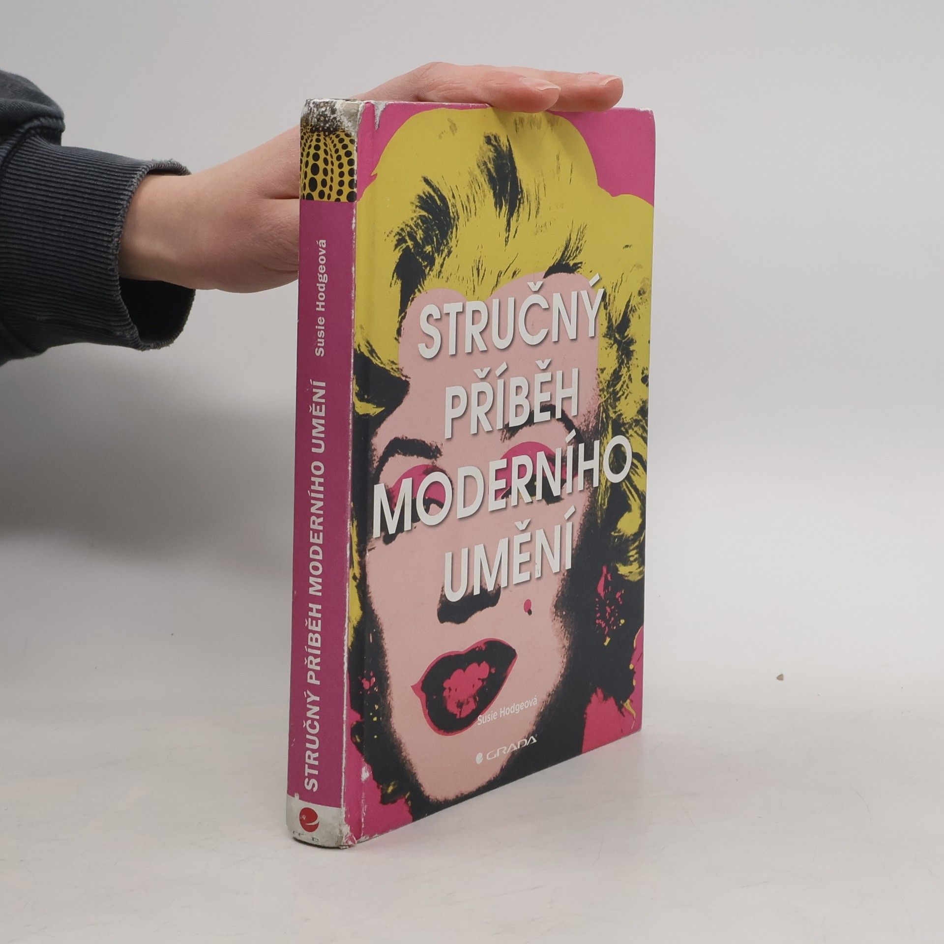 Susie Hodge Stručný příběh moderního umění