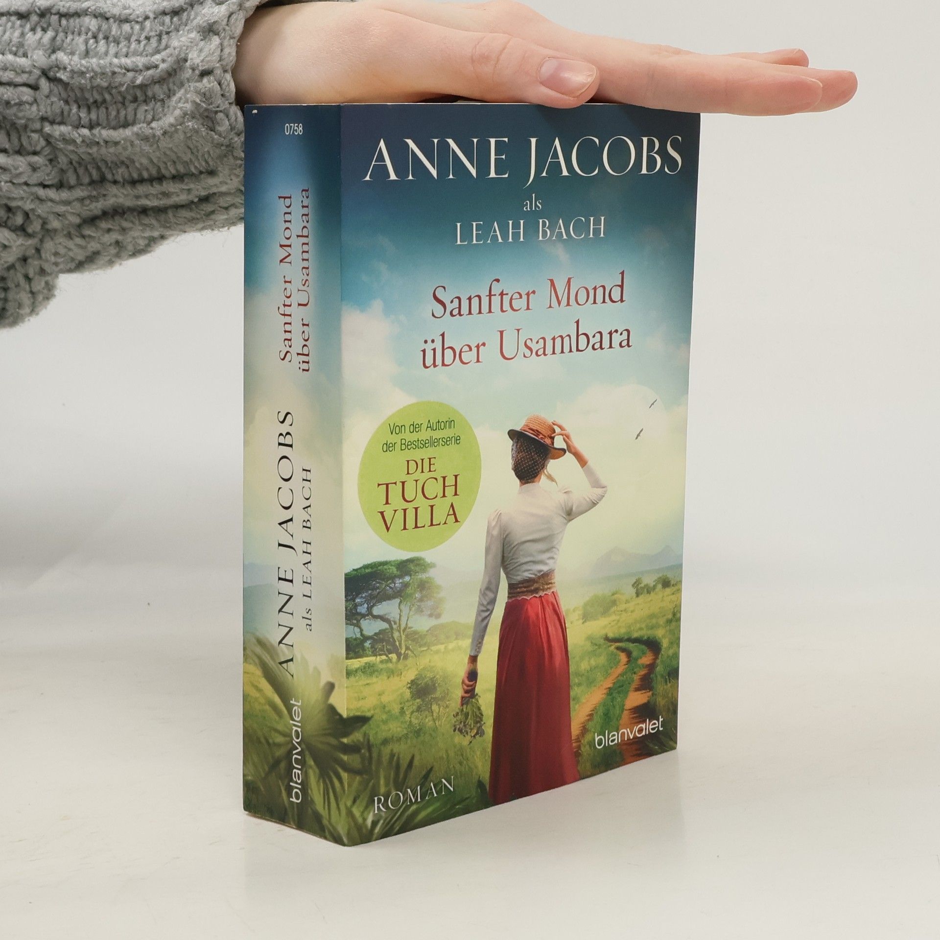 Anne Jacobs Sanfter Mond über Usambara