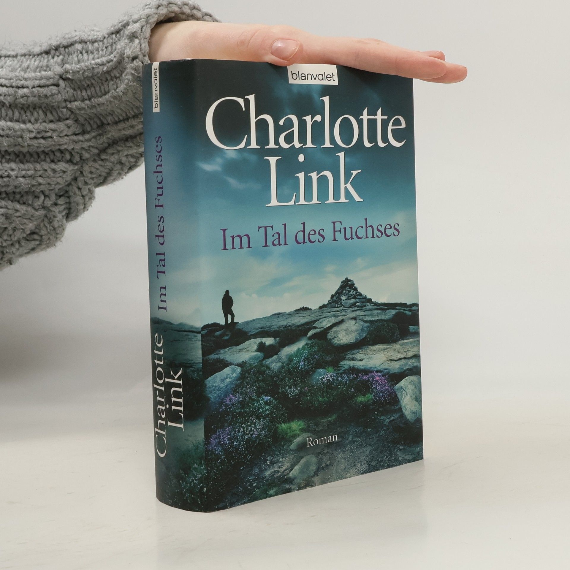 Charlotte Link Im Tal des Fuchses
