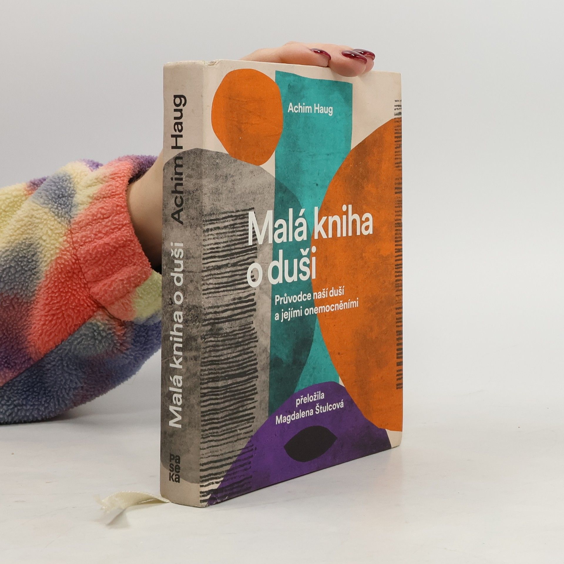 Achim Haug Malá kniha o duši. Průvodce na cesty naší psýchou a jejími nemocemi