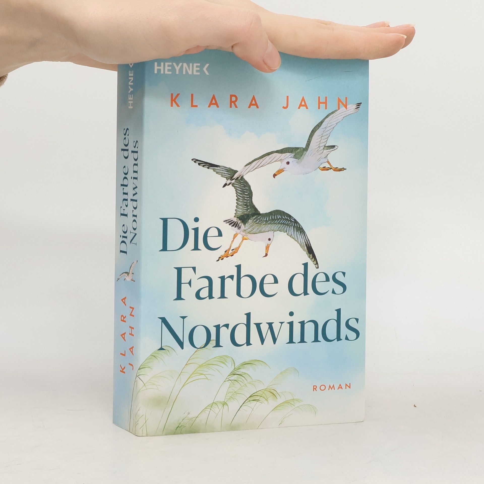 Klara Jahn Die Farbe des Nordwinds