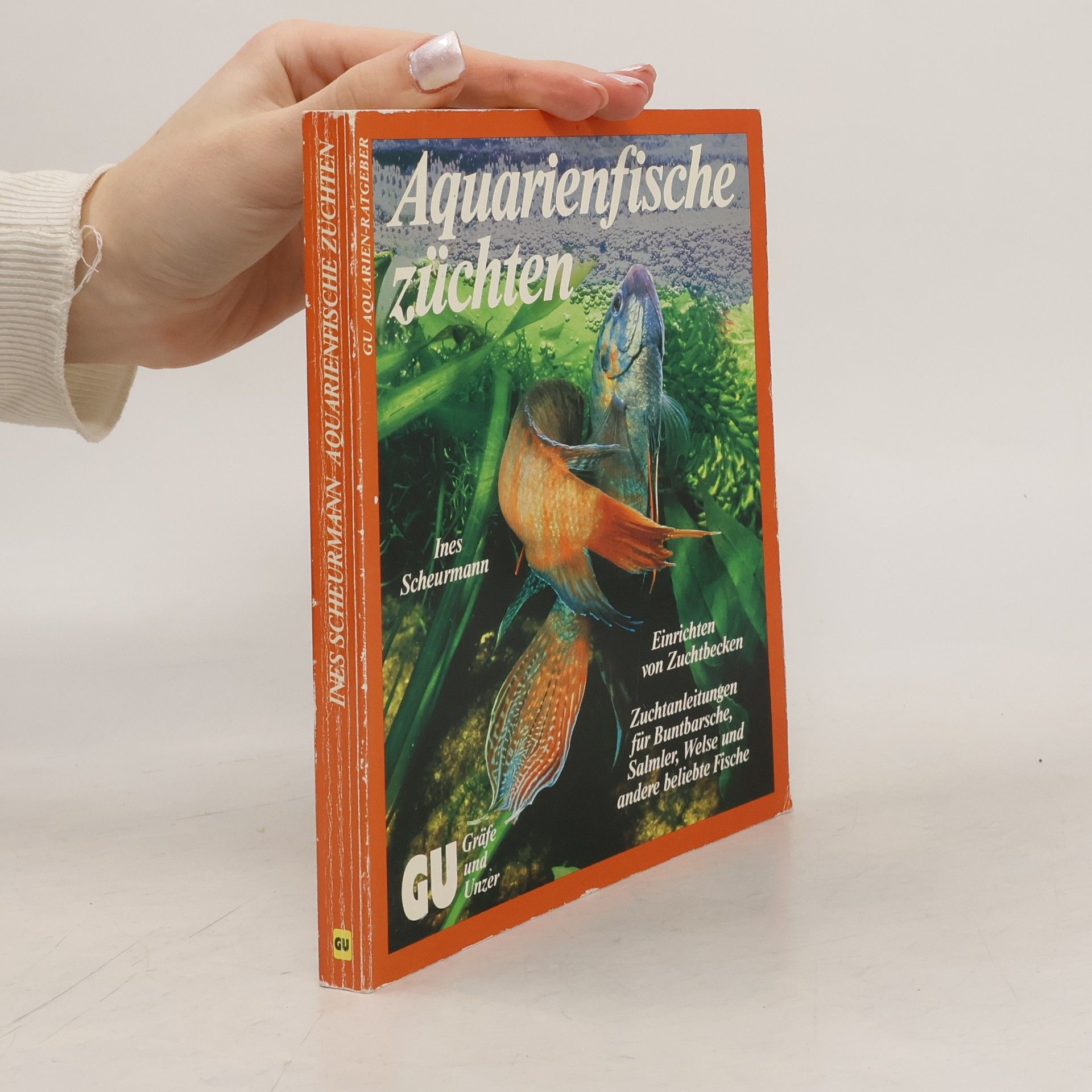 Ines Scheurmann Aquarienfische züchten